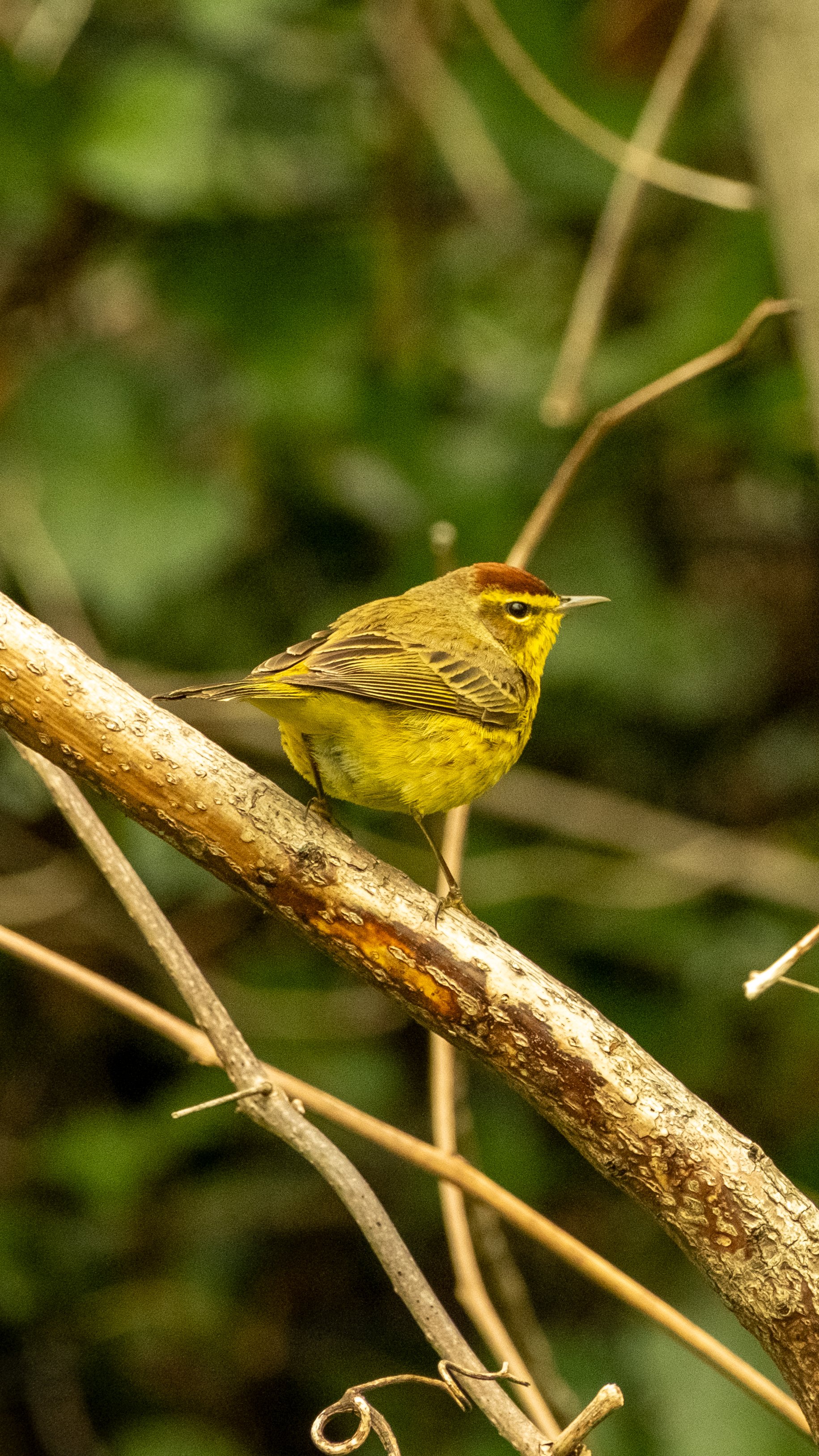 DSCF5627.JPG