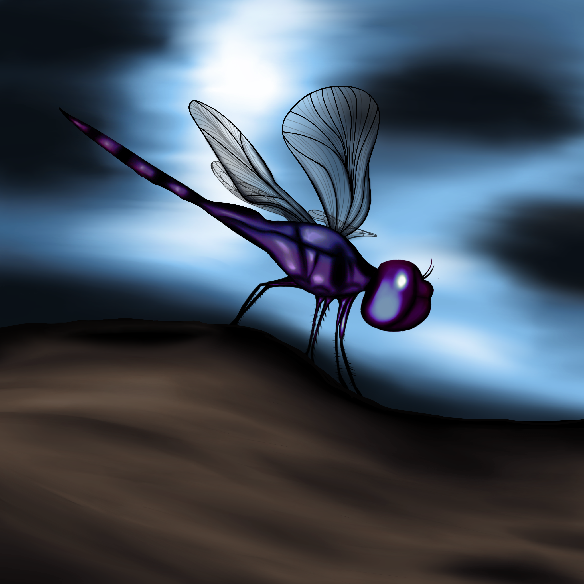 IMG_0370.png