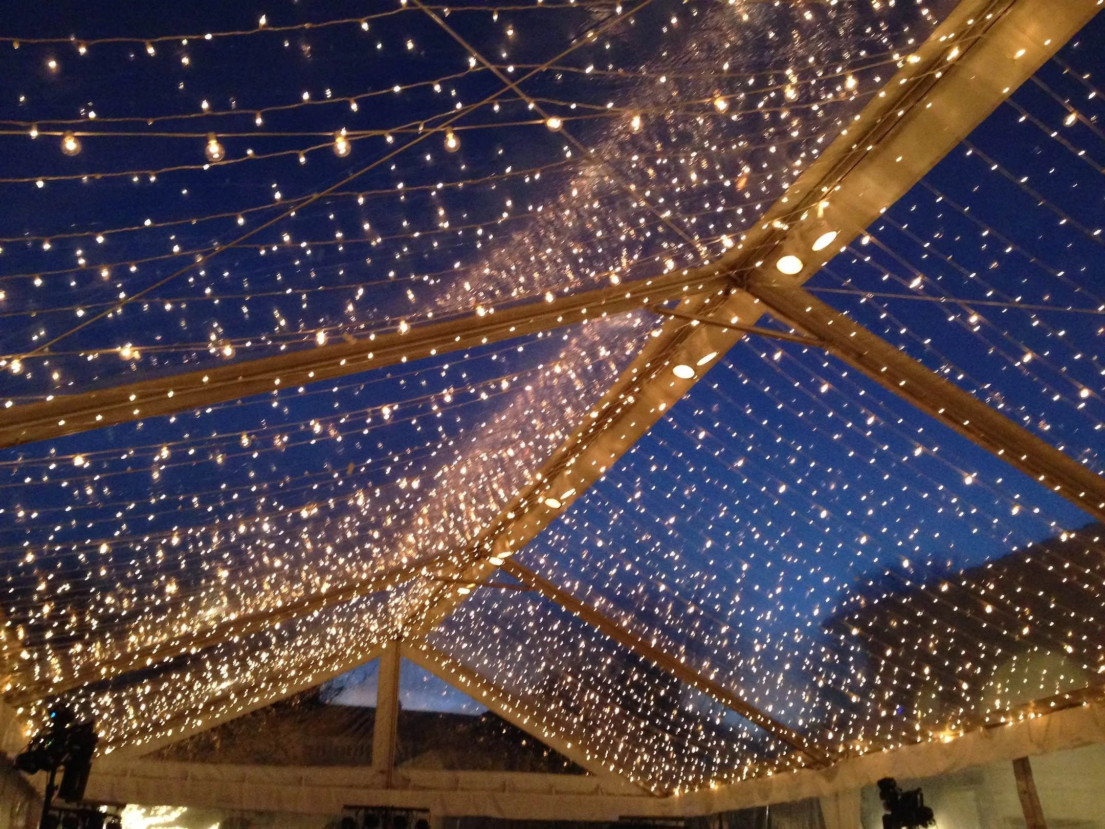 twinkle light.jpg