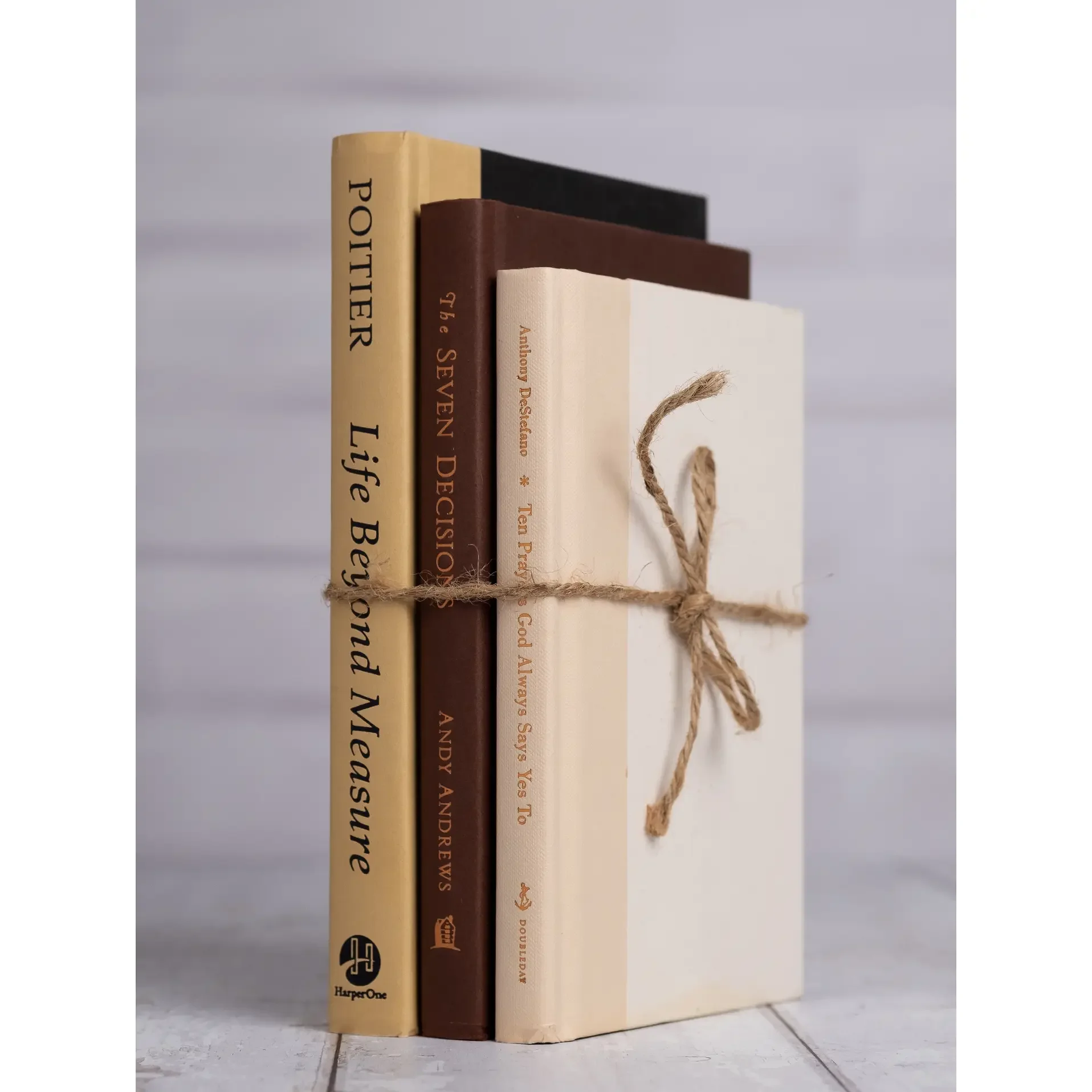 Ensemble de 3 livres décoratifs - neutre