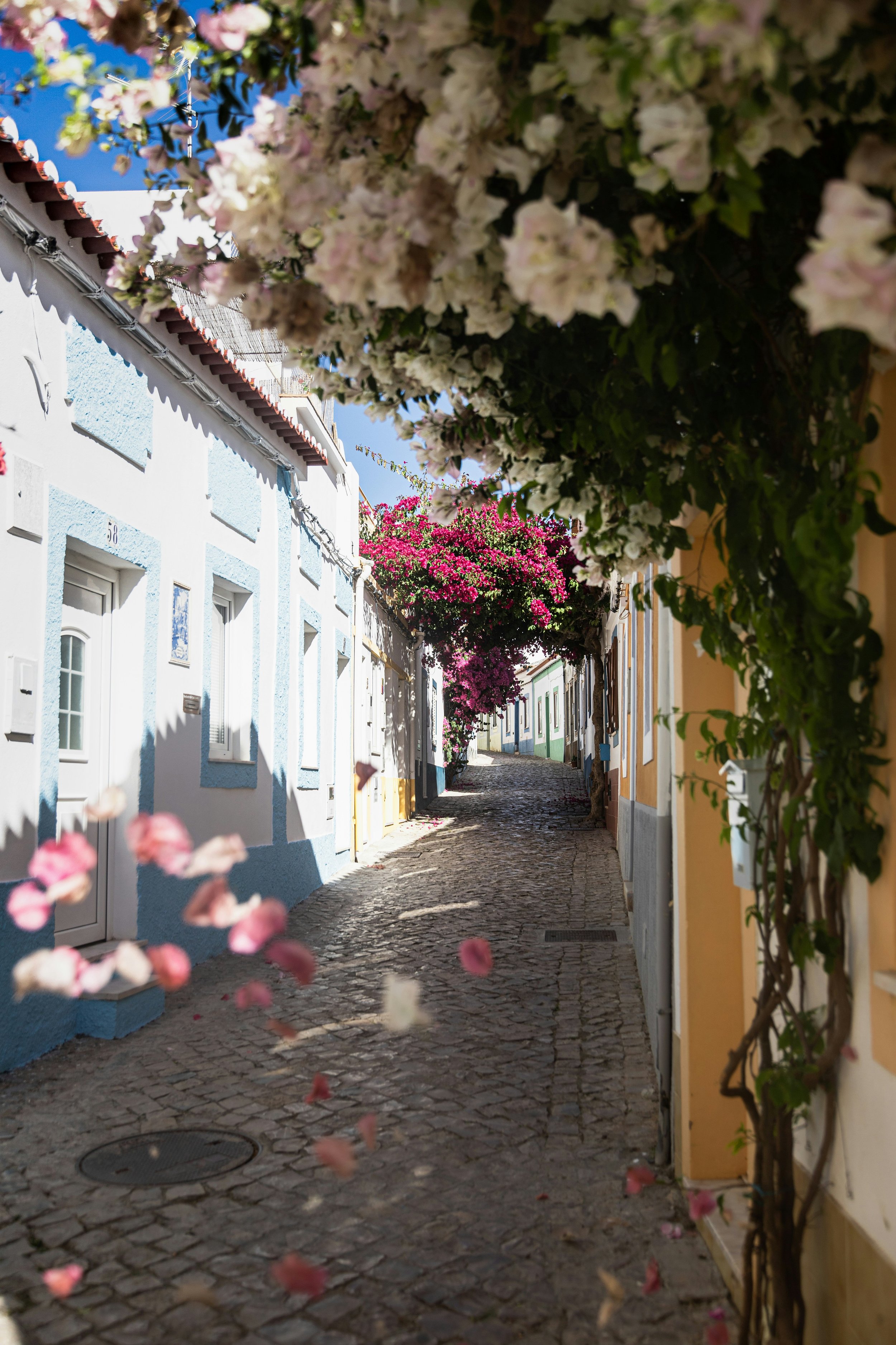 A narrow cobblestone street lined with pastel-colored houses decorated with flowers and greenery, with pink petals falling through the air on a sunny day.