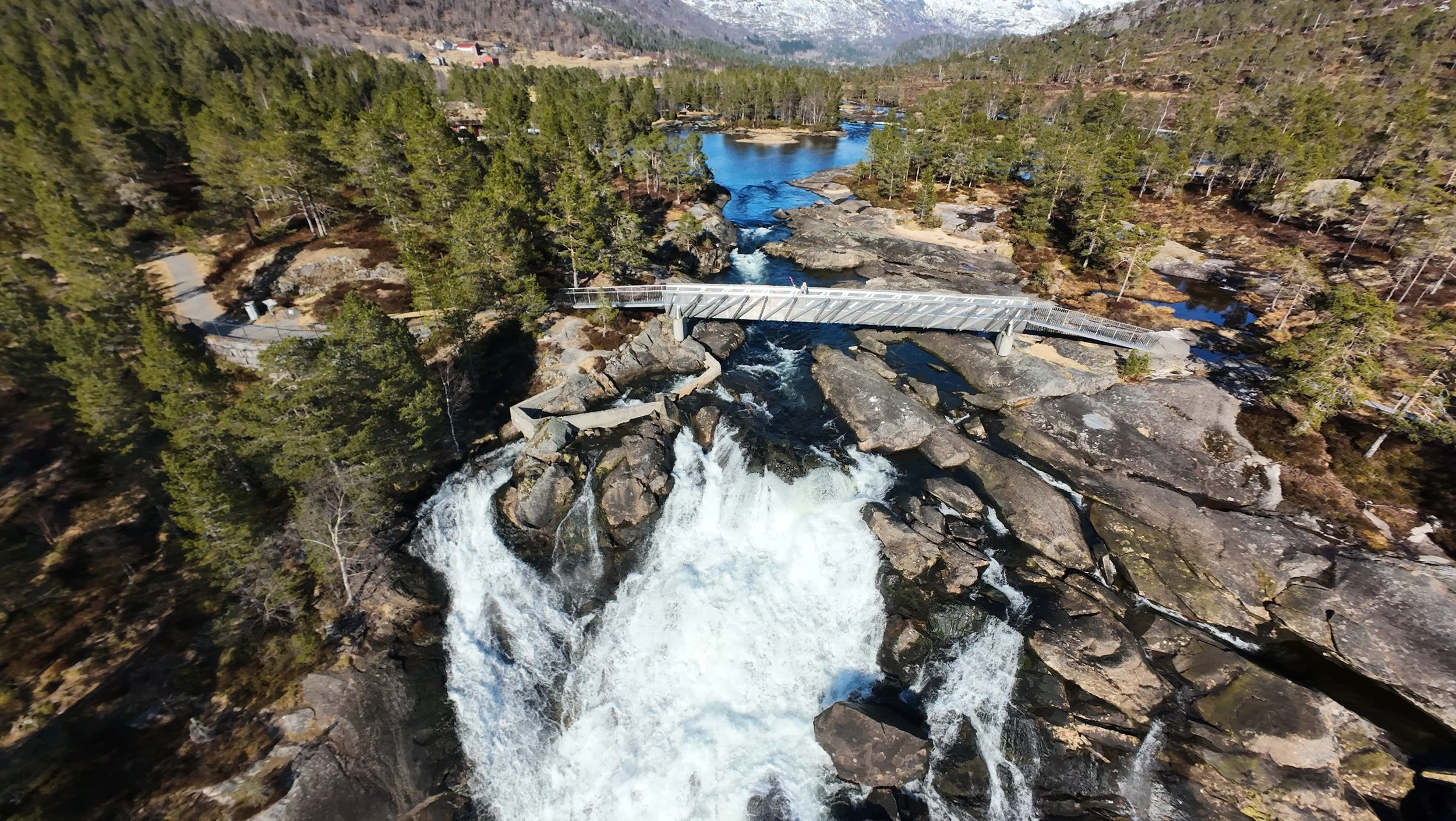 DJI_20260415165453_0028_D.JPG