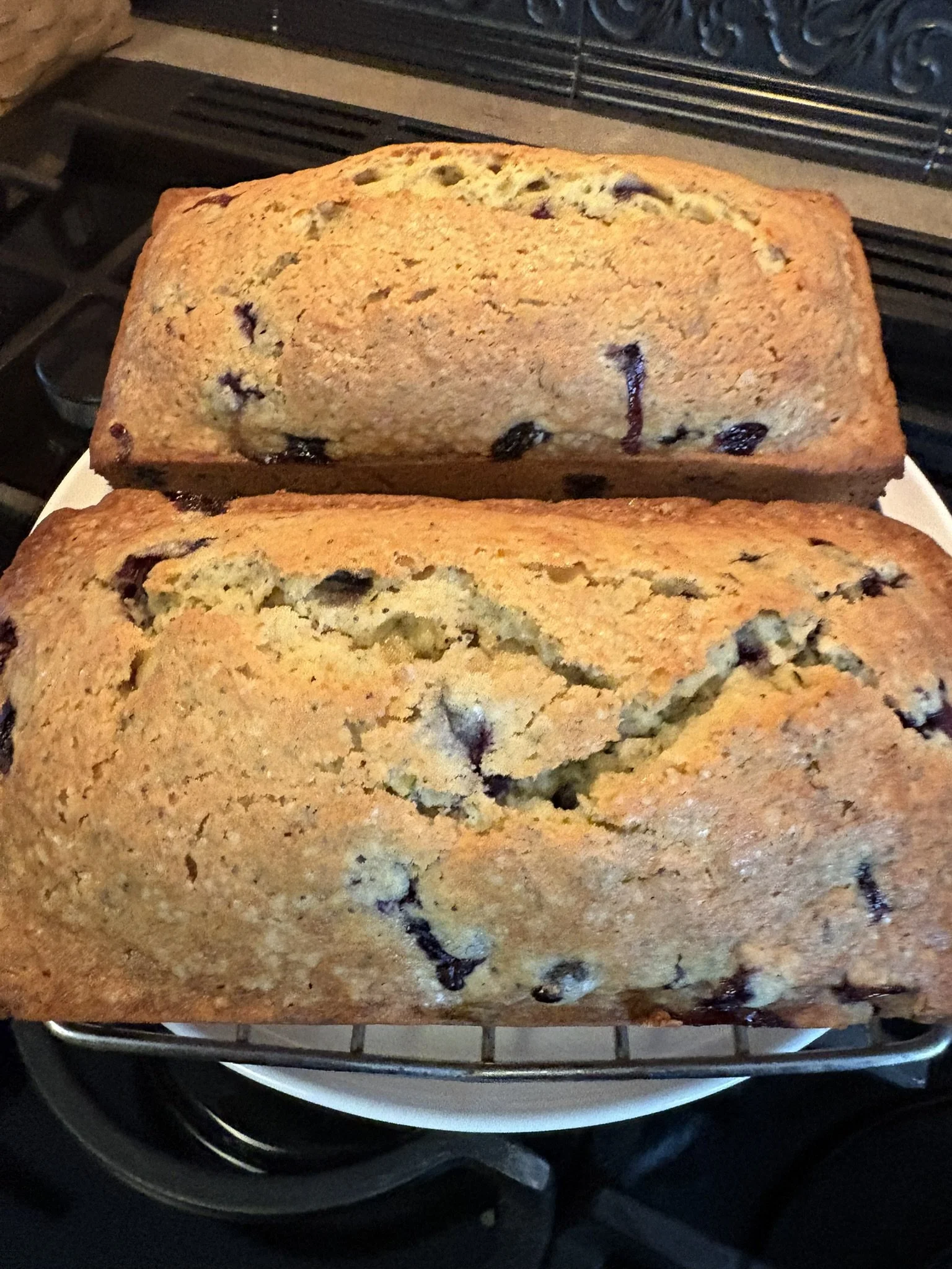 Lemon-Kissed Blueberry Poppy Seed Zucchini Bread