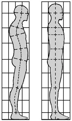 Two side-by-side human silhouette diagrams, a before-and-after comparison, showing improved posture with aligned spinal and body points, against a grid background.
