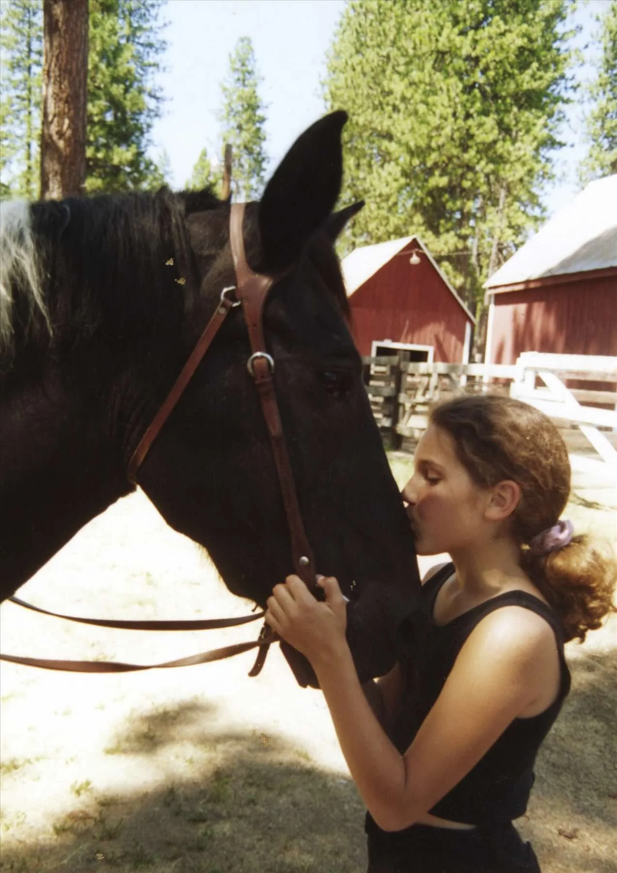 A young woman with curly hair styled in a ponytail kisses a black horse on its nose, holding its bridle, outdoors with trees and red barns in the background.