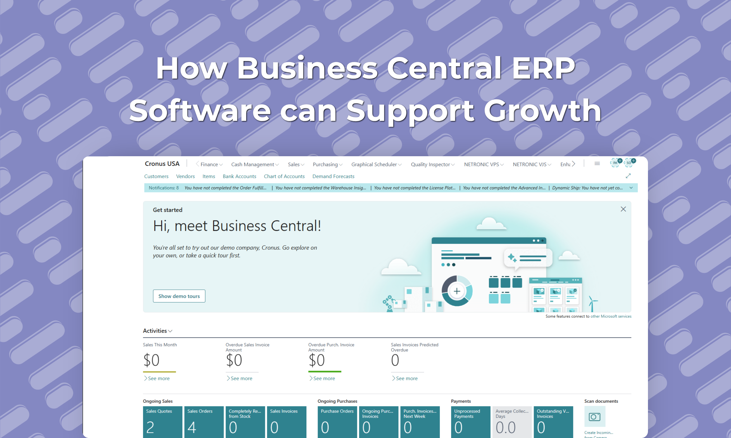 How Business Central ERP Software can Support Growth