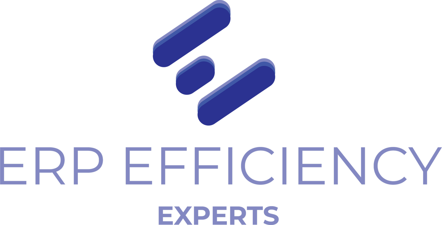 ERP Efficiency Experts
