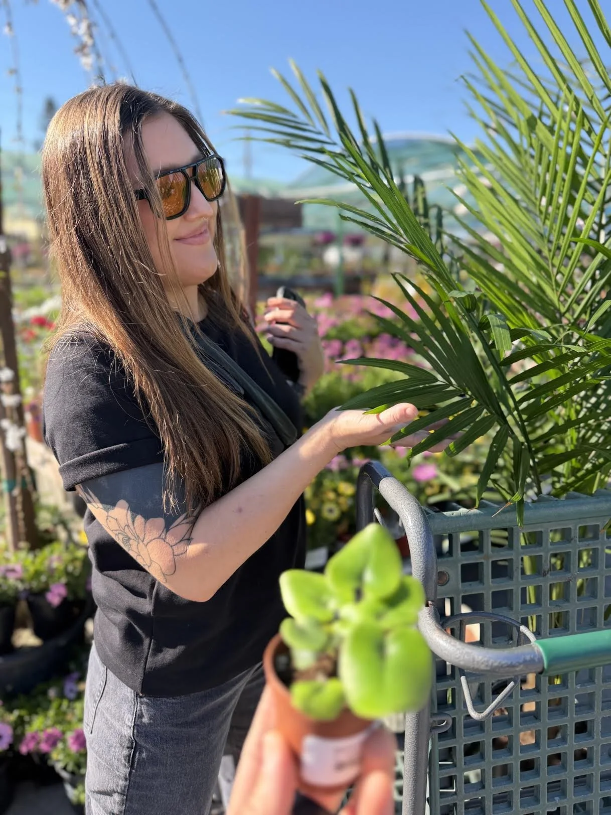 A woman with sunglasses and long brown hair, smiling, examining a green palm leaf in a garden center. She has a tattoo on her left arm and is wearing a black shirt. A person in the foreground is holding a small potted succulent plant.