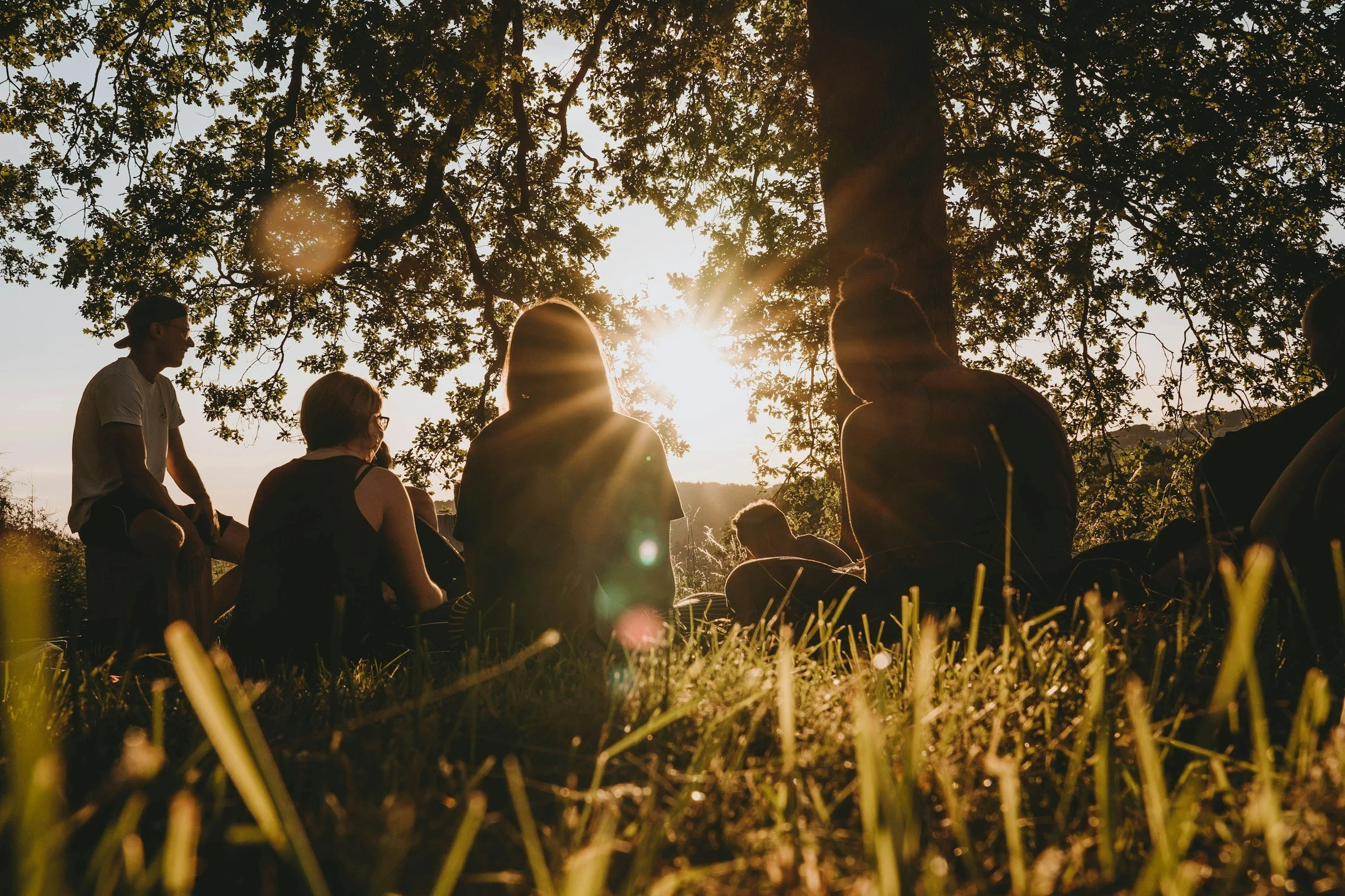 Group of people sitting in a circle outdoors under a large tree with sunlight shining through the branches, during sunset or late afternoon.