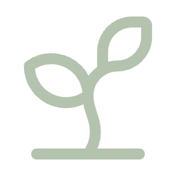 A simple line drawing of a small plant with two leaves.