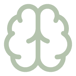 Icon of a brain outline in gray color.