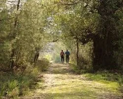 Two people walking on a dirt path through a wooded area with trees forming a canopy overhead.