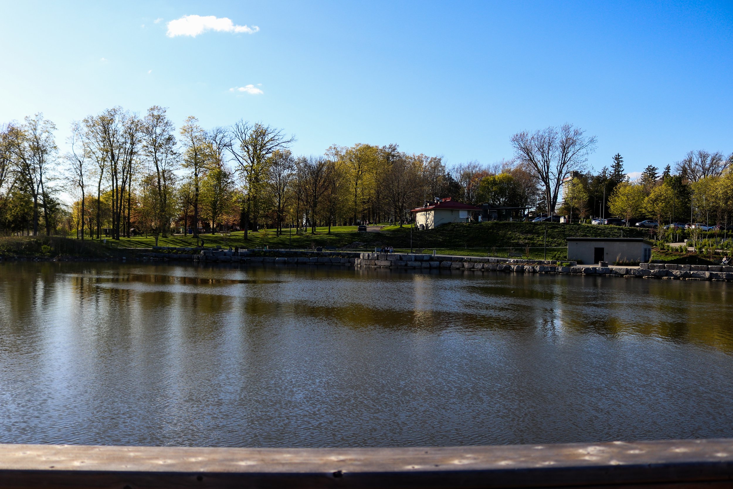 View of a lake with trees and buildings in the background, under a partly cloudy blue sky, at Waterloo Park in Waterloo, ON.