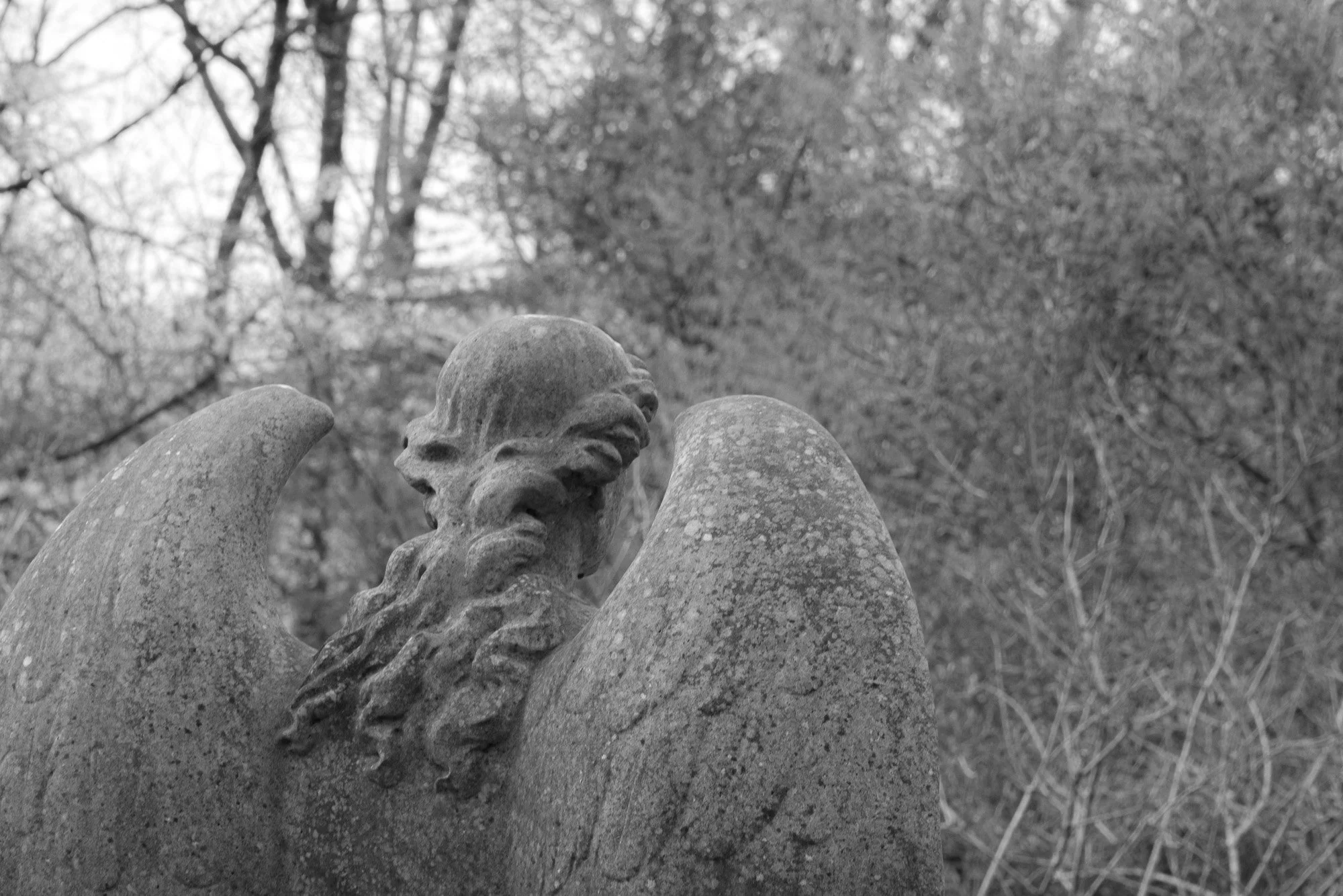 untitled-00825.jpg