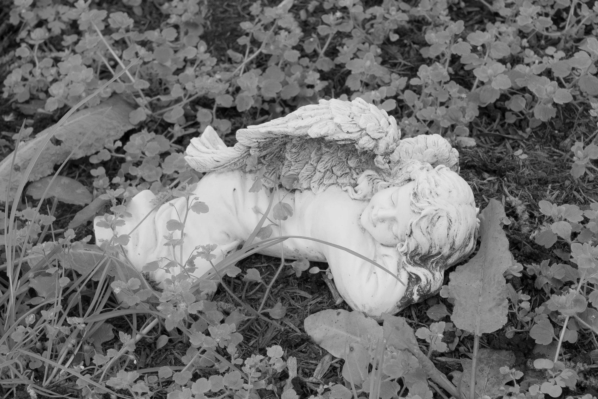 untitled-00970.jpg
