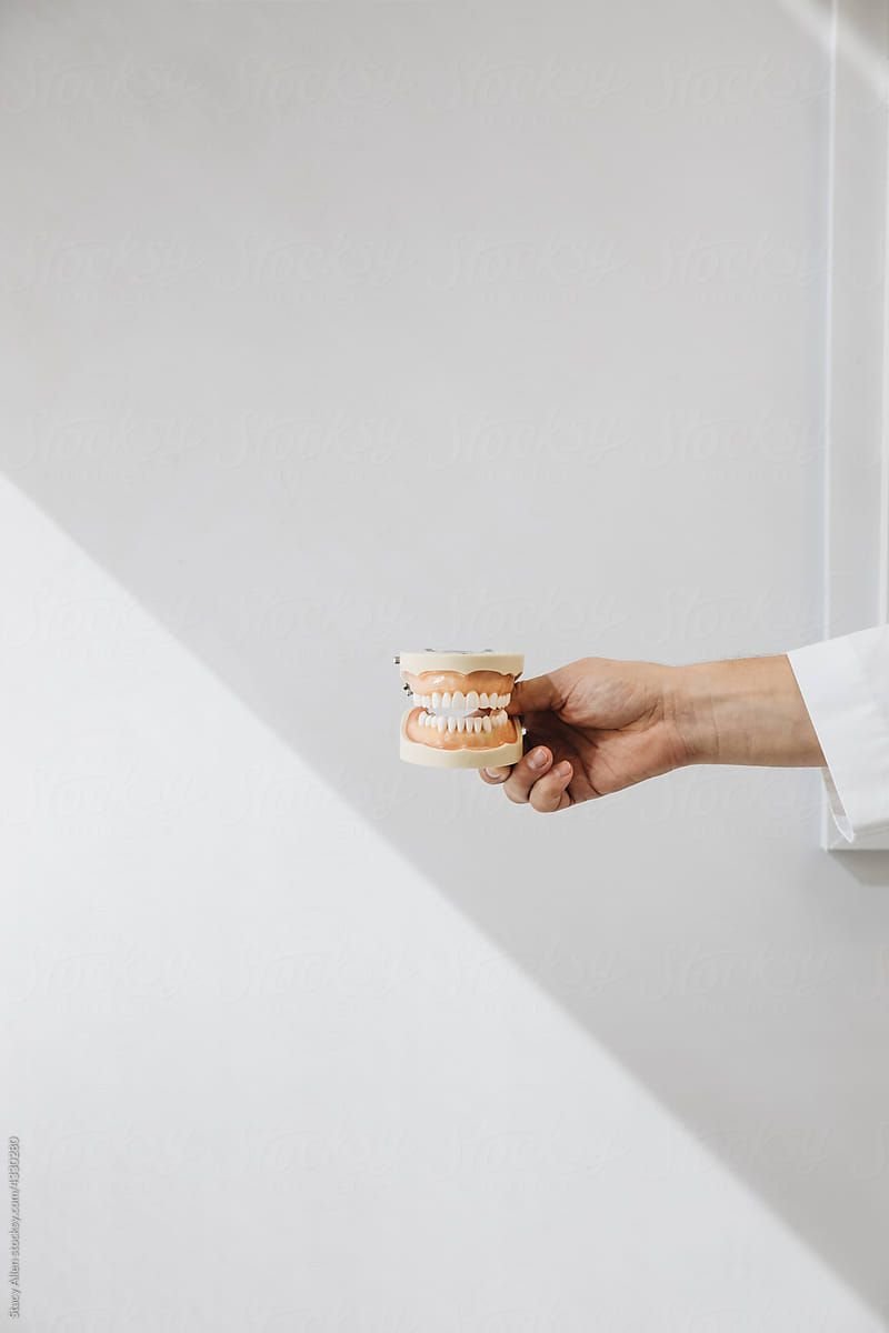A person's hand holding a dental model with teeth against a plain wall background.