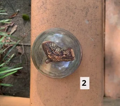 02 green jar top view.jpg