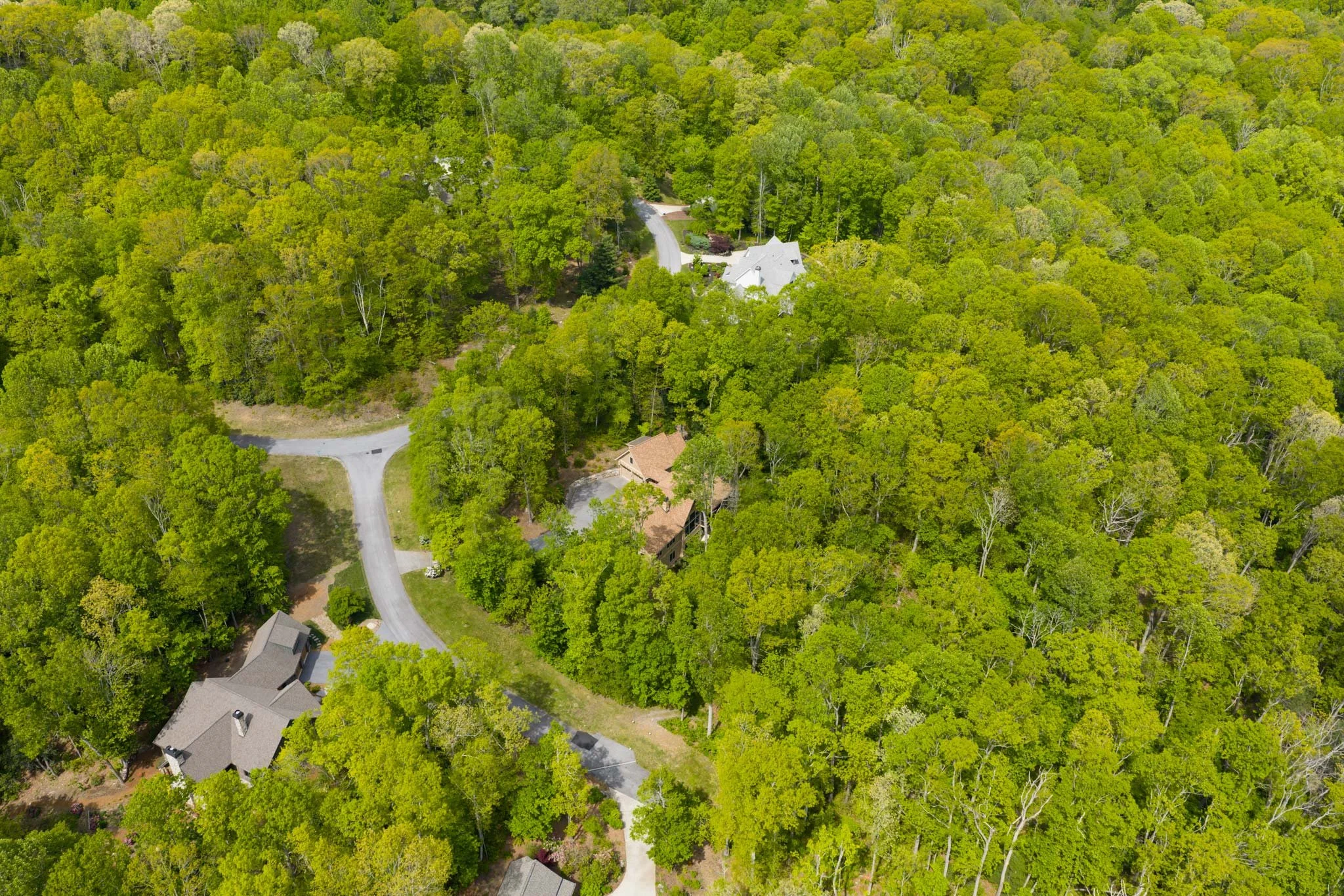 Grand Highlands Bearwallow_AshtonPeters_Real Estate_587-Autumn-Sky-MLS-66_sm.jpg