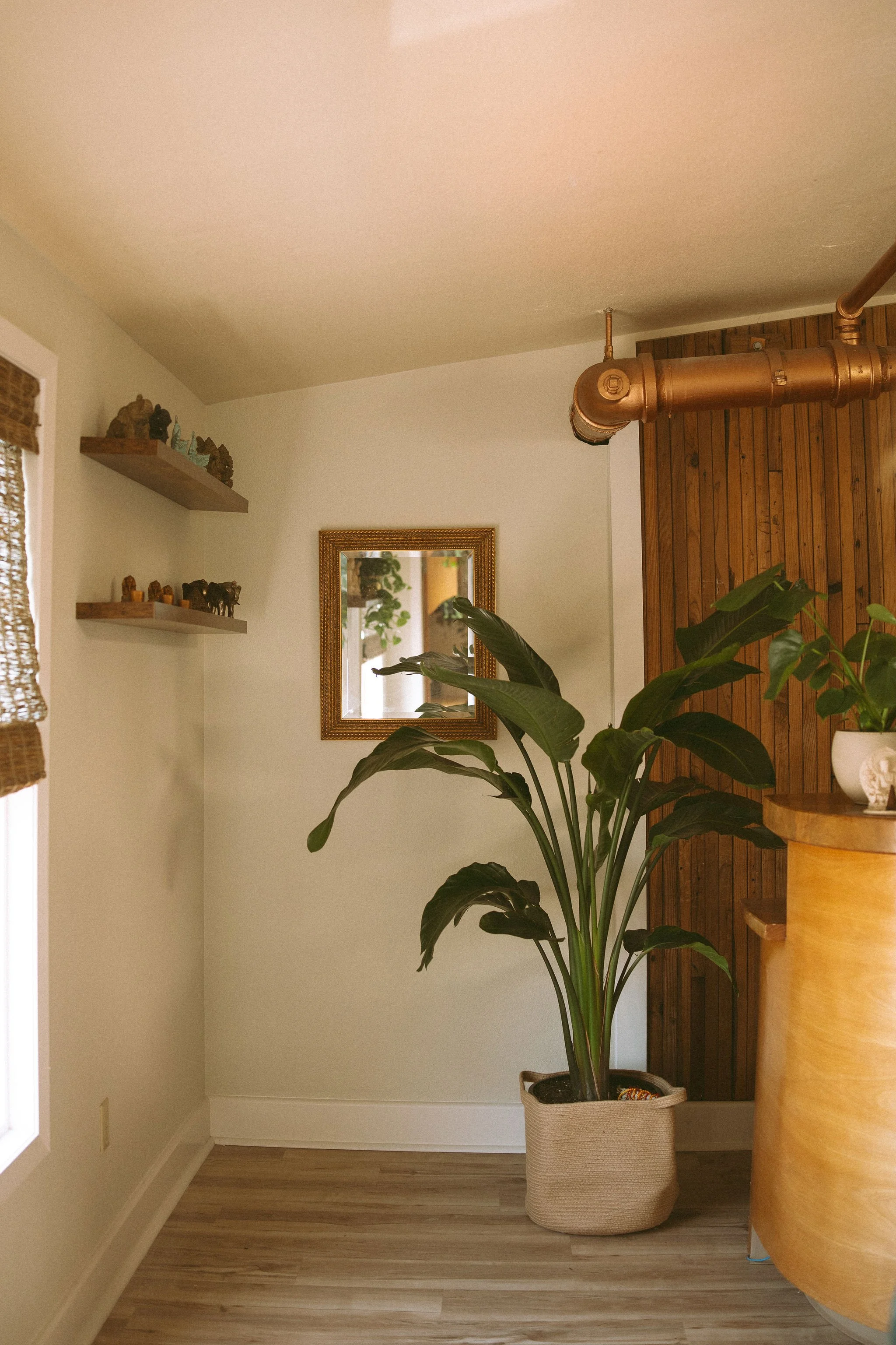 Interior of a room with a large potted plant, wooden flooring, a mirror on the wall, and shelves with decorative items.