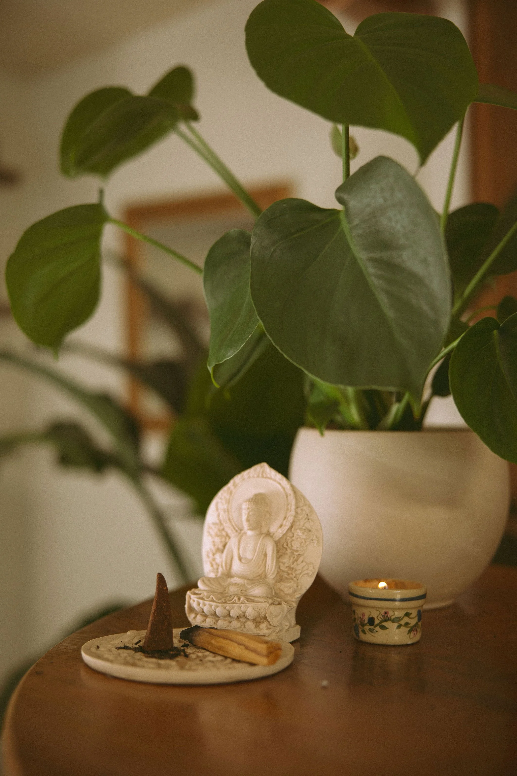 Decorative items on a wooden surface including a small Buddha statue, a lit candle in a floral patterned holder, a piece of wood, and a small cone-shaped object with white residue. In the background, a large potted plant with broad green leaves is vi