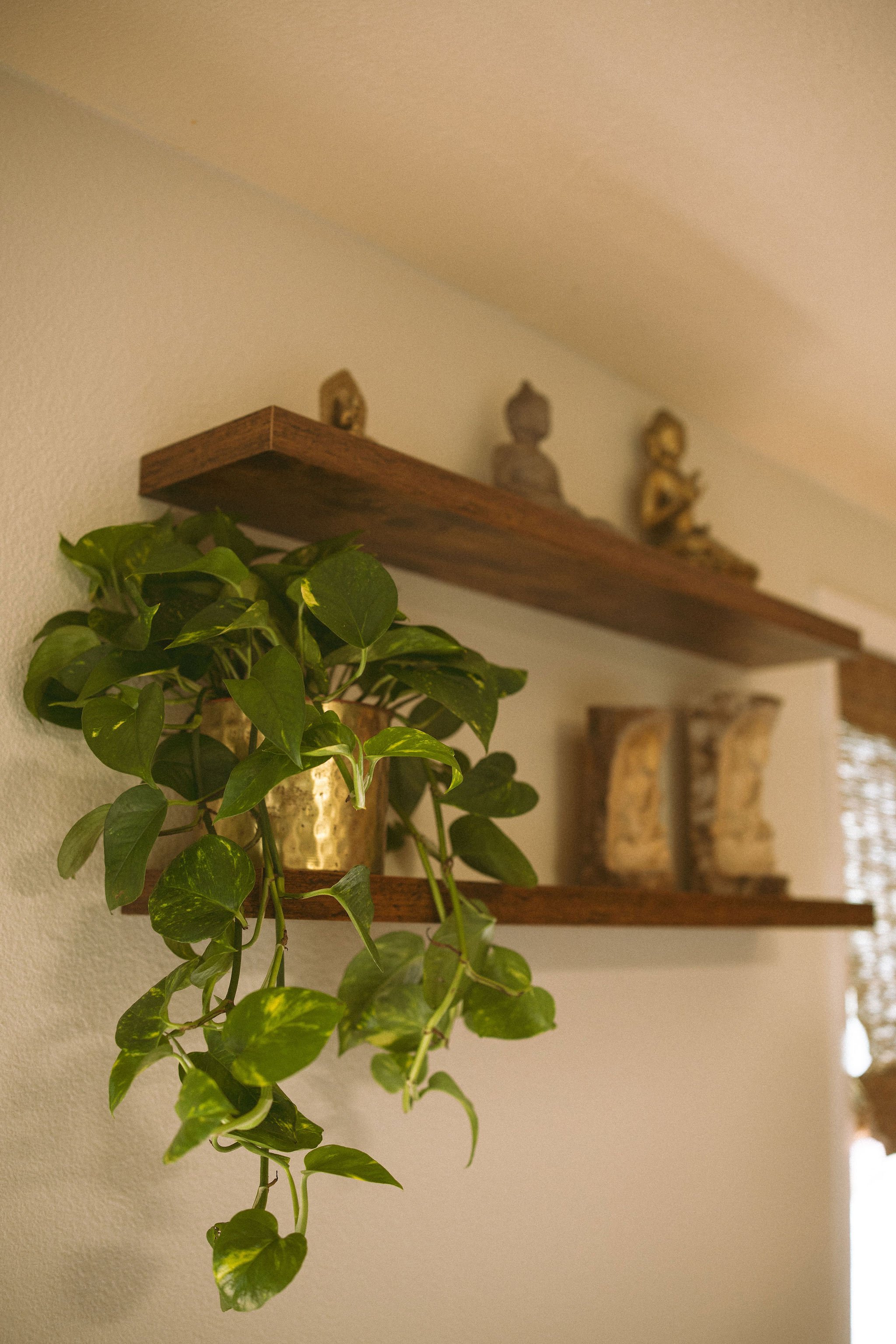 A wall-mounted wooden shelf displaying three Buddha statues with a potted trailing green plant below it, in a cozy indoor setting.