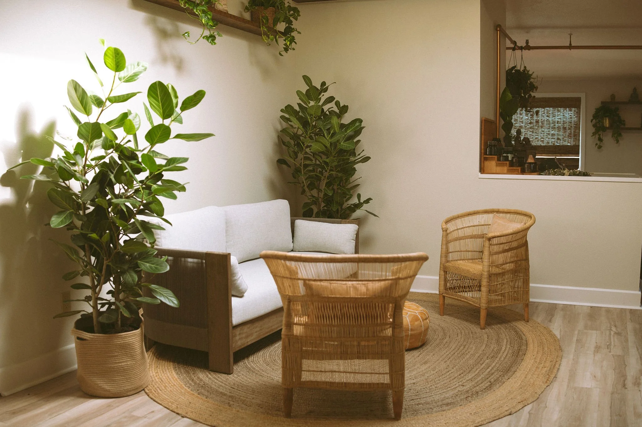 A cozy living room corner with a white sofa, wicker chairs, and green potted plants, including a large one in a basket, on a round jute rug with a wooden floor.