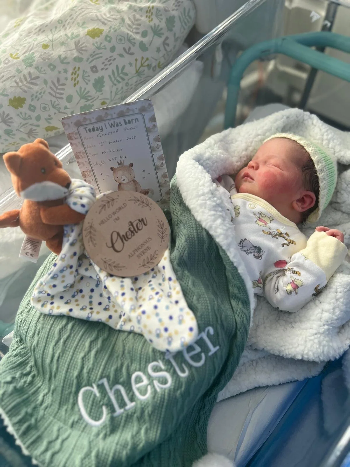 Newborn baby sleeping in hospital bassinet, wearing a white pajama with animal prints, wrapped in a green blanket, with a knitted hat on its head, next to a stuffed animal and a birth announcement card.