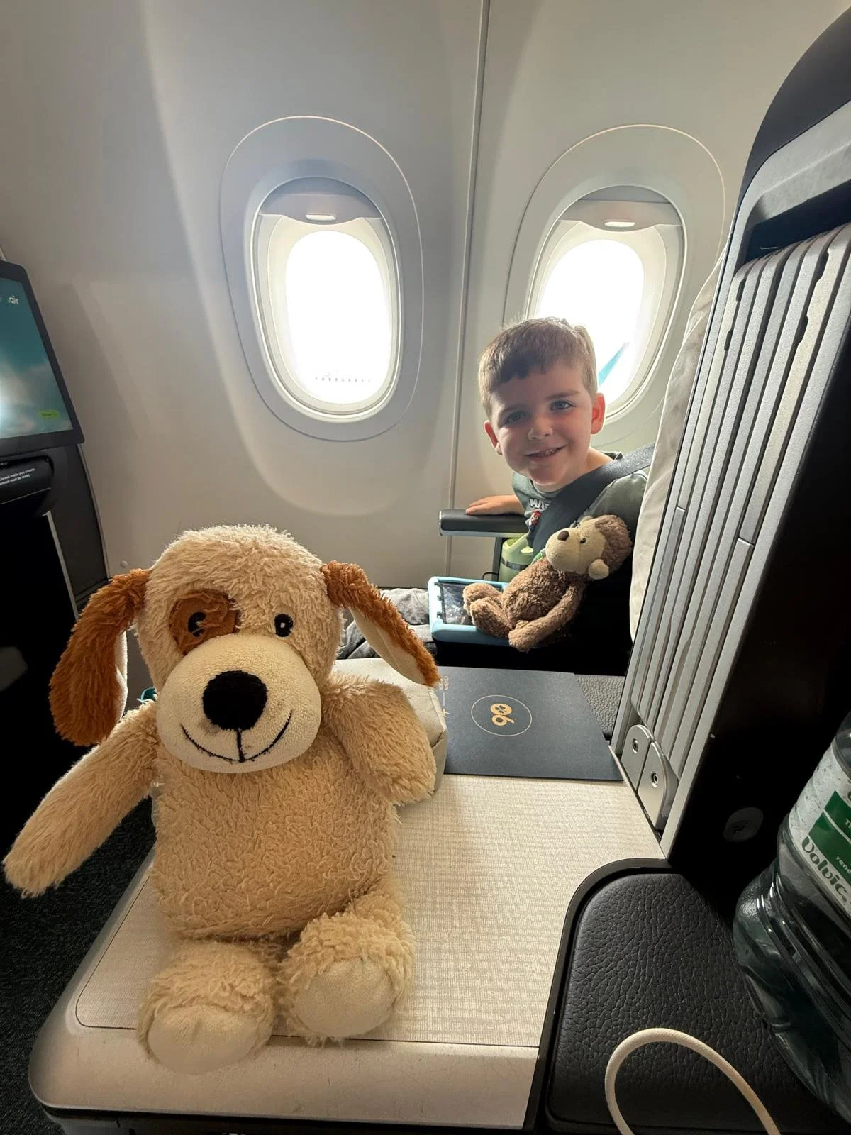 A young boy smiling on an airplane seat with two plush stuffed animals, a dog and a monkey. The dog is larger and positioned in the foreground, while the boy and the monkey are in the background near the airplane window.