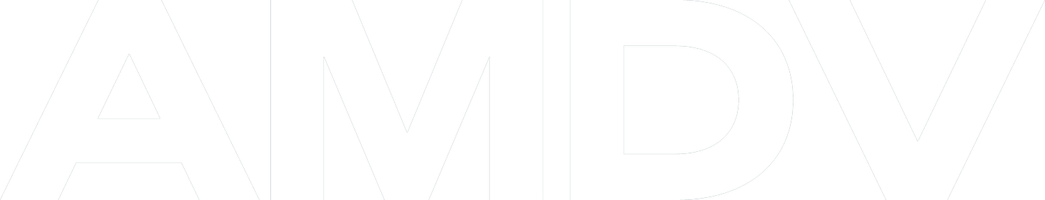 AM Diversity Ventures