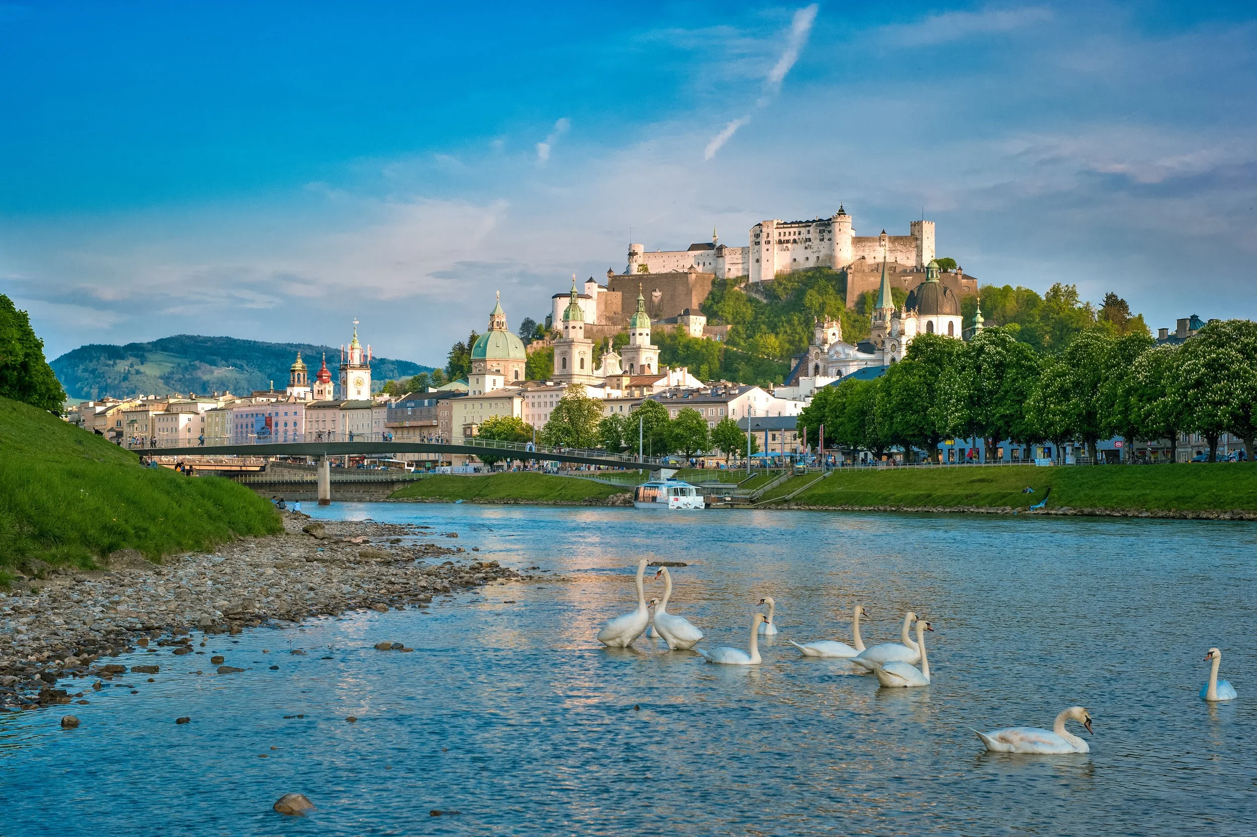 Blick auf die Salzburger Altstadt von der Salzach aus, mit Schwänen am Fluss.