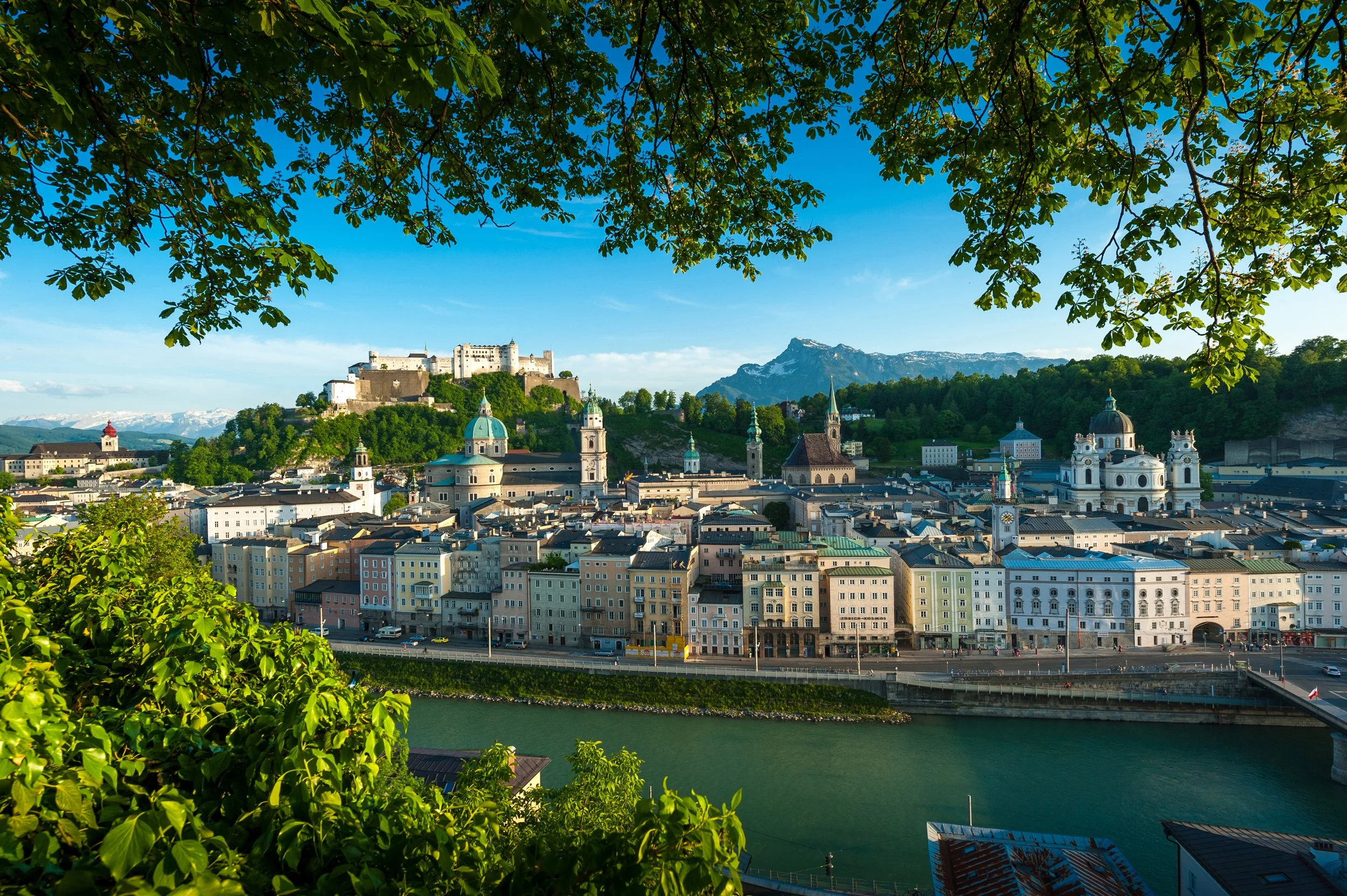 Blick auf Salzburg mit Salzach, im Hintergrund die Festung und Berge, umrahmt von grünen Blättern im Vordergrund.