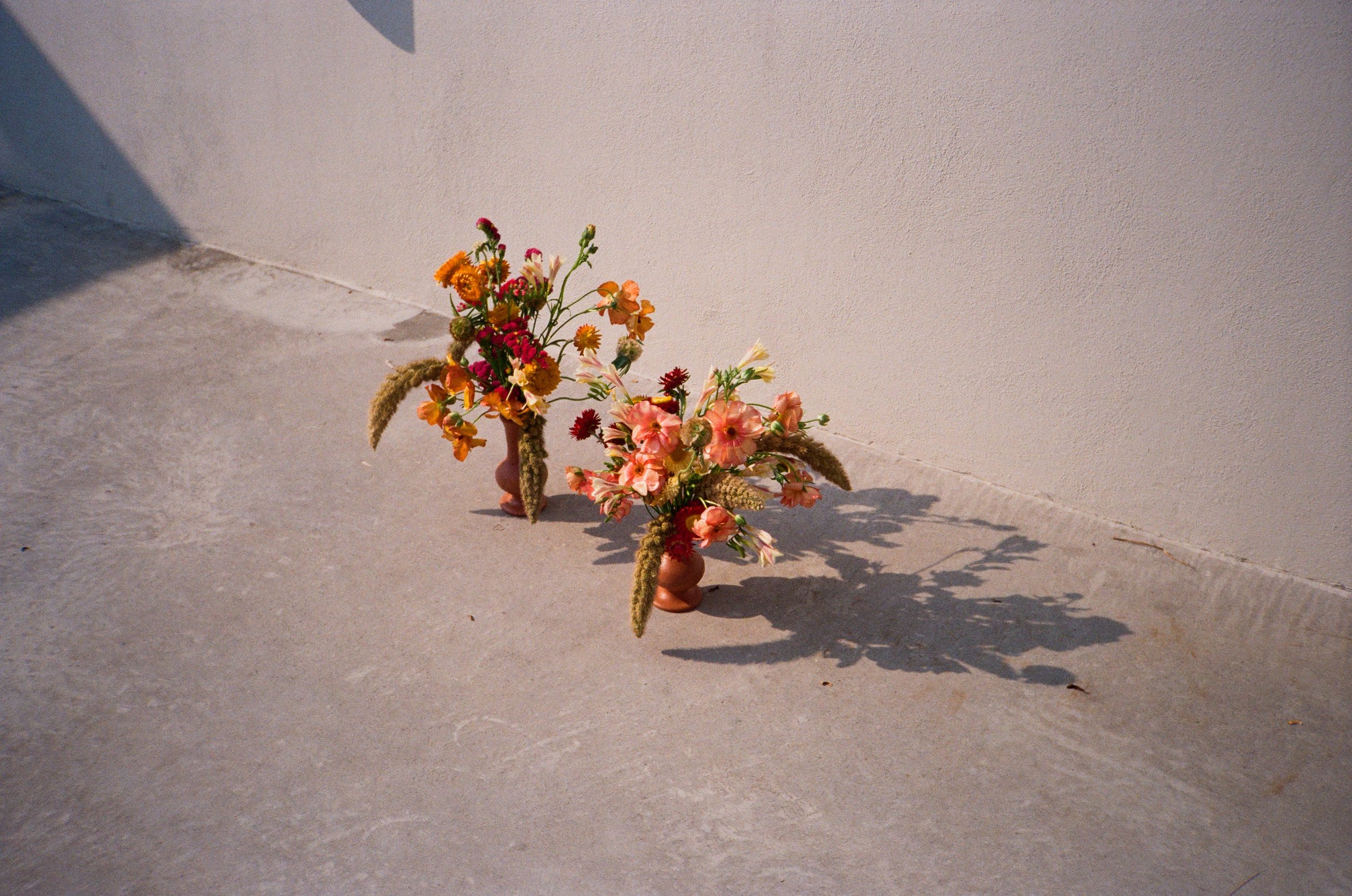 image00015.jpeg