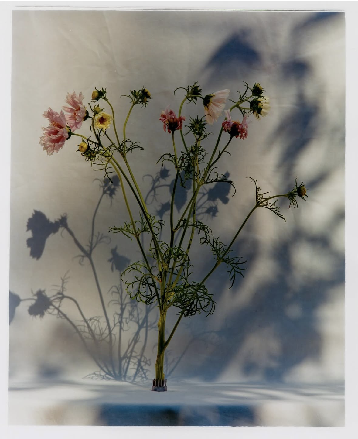 IMG_7570.PNG