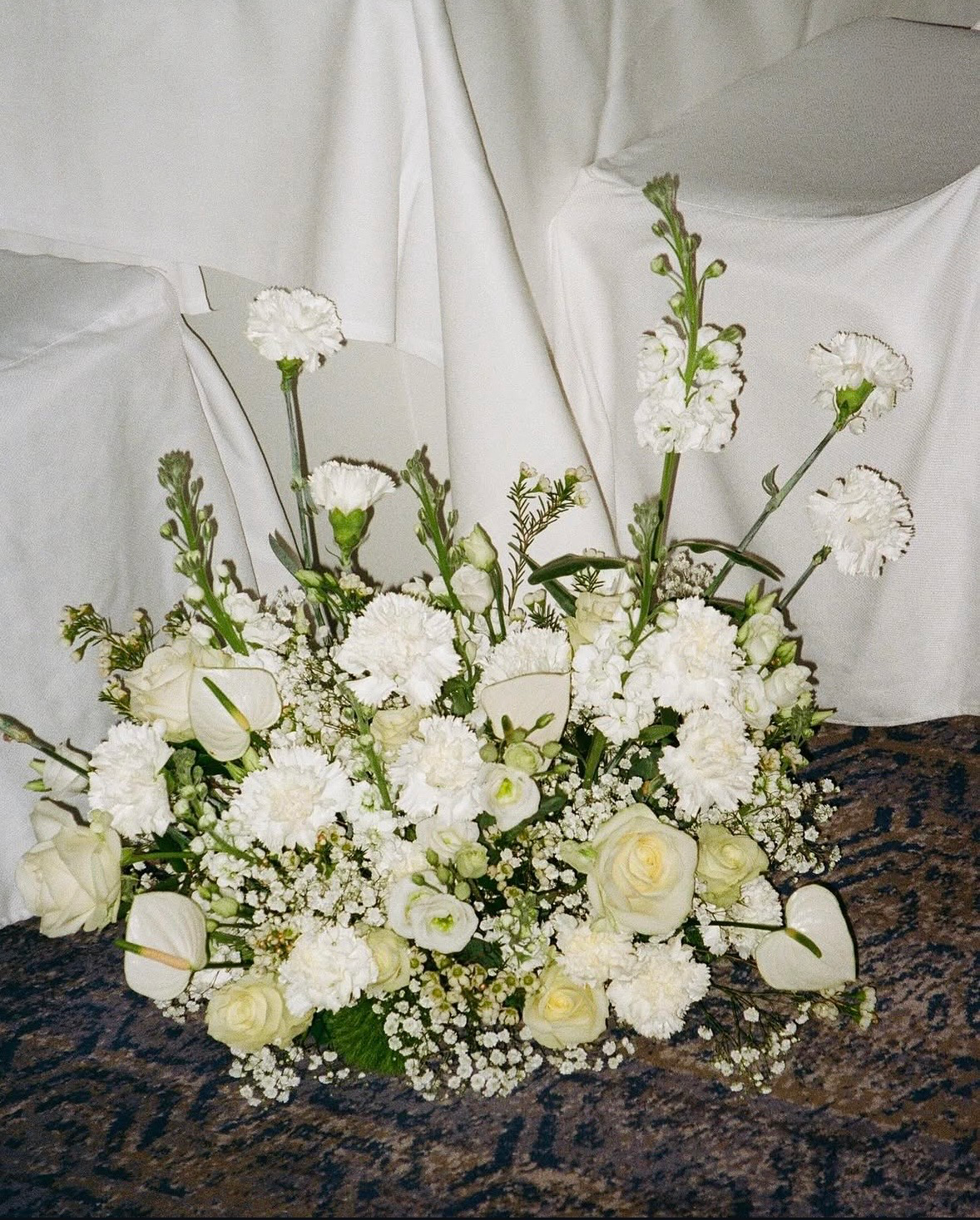 IMG_7587.png