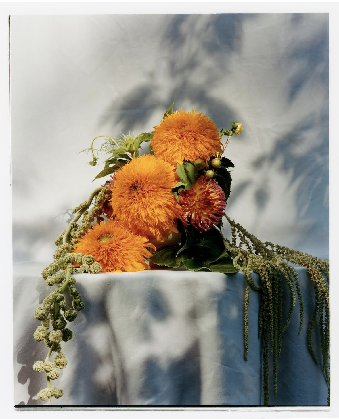 IMG_7569 copie.png