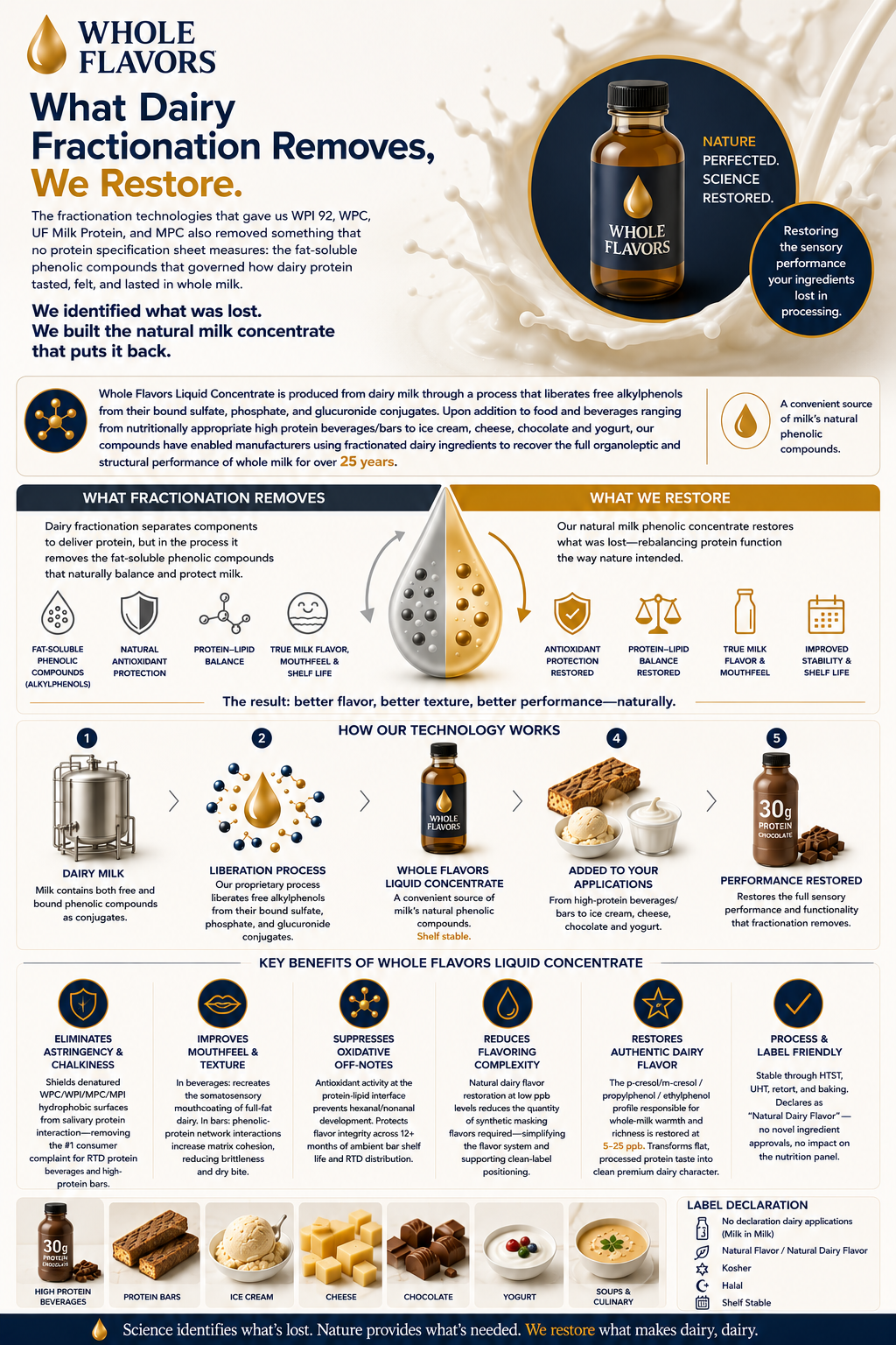 Whole Flavors dairy fractionation technology, showing how it removes beneficial components from milk and restores them for improved flavor, texture, and shelf life. Features sections on technology process, key benefits, and applications like protein bars, ice cream, cheese, chocolate, yogurt, and soups.