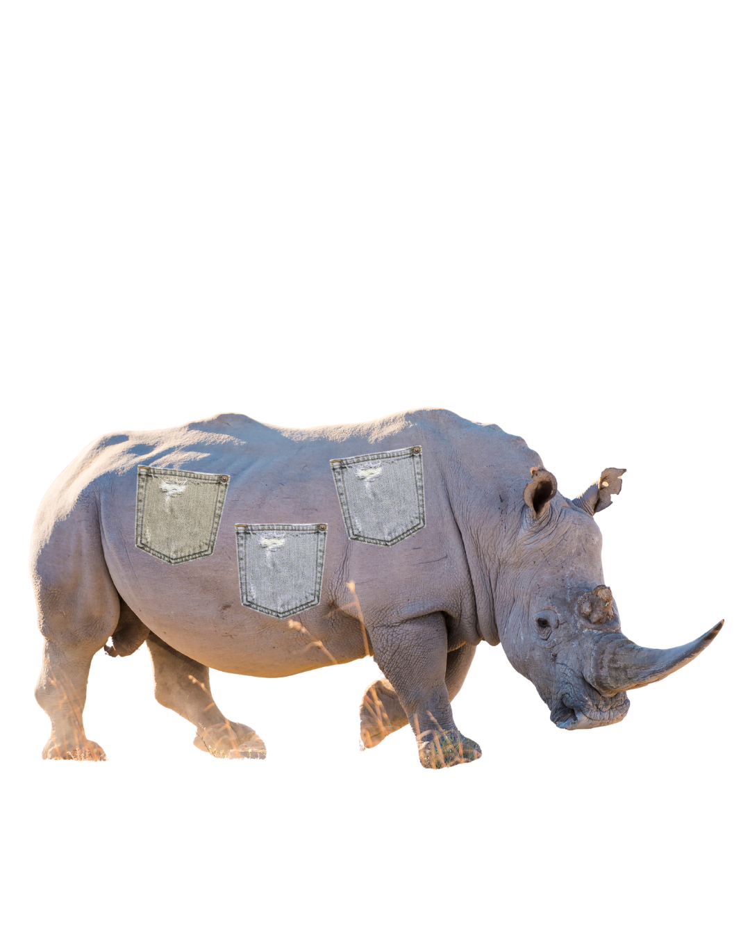 Shame and the Rhinoroo