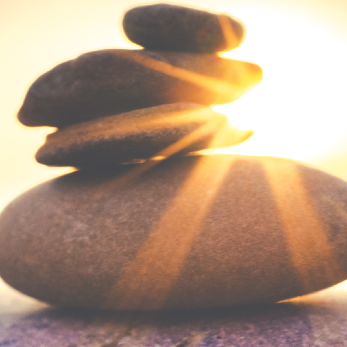 Beginning Mindfulness Meditation Class