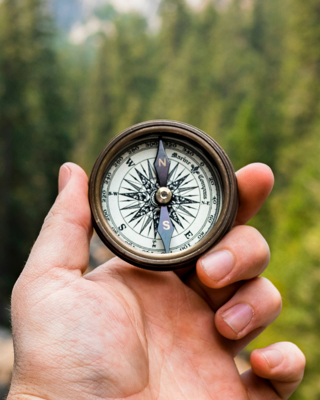 Hand holding a vintage compass outdoors with a blurred forest background.