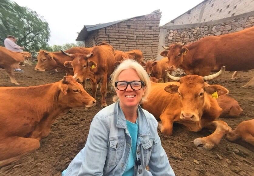 Meagan Burns Modern Farmer and the cows