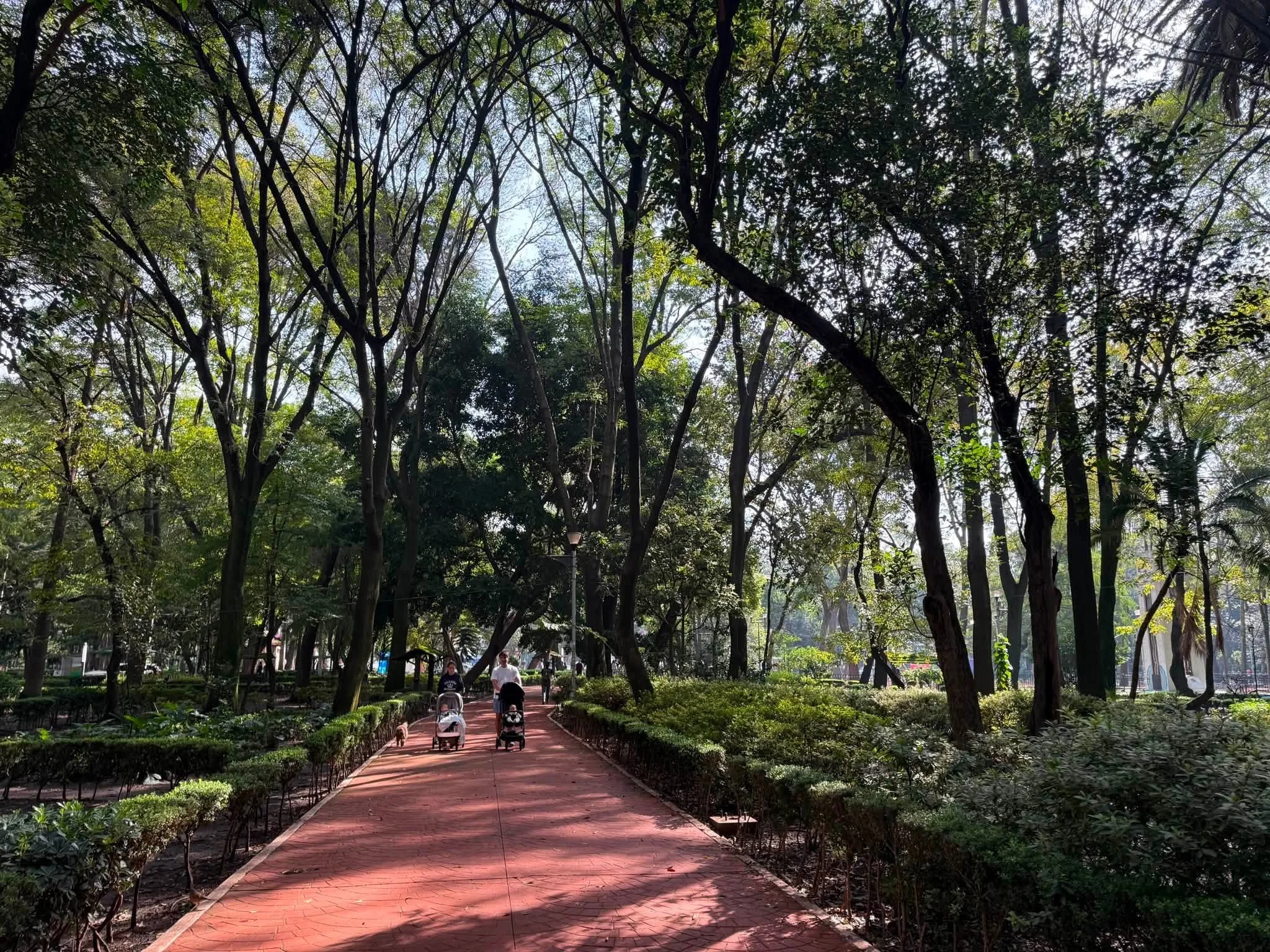 CDMX_Exp_026.jpg