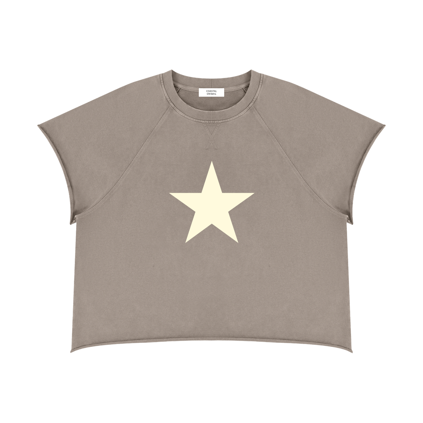 Taupe Star Tee with cream star graphic by Coastal Thread