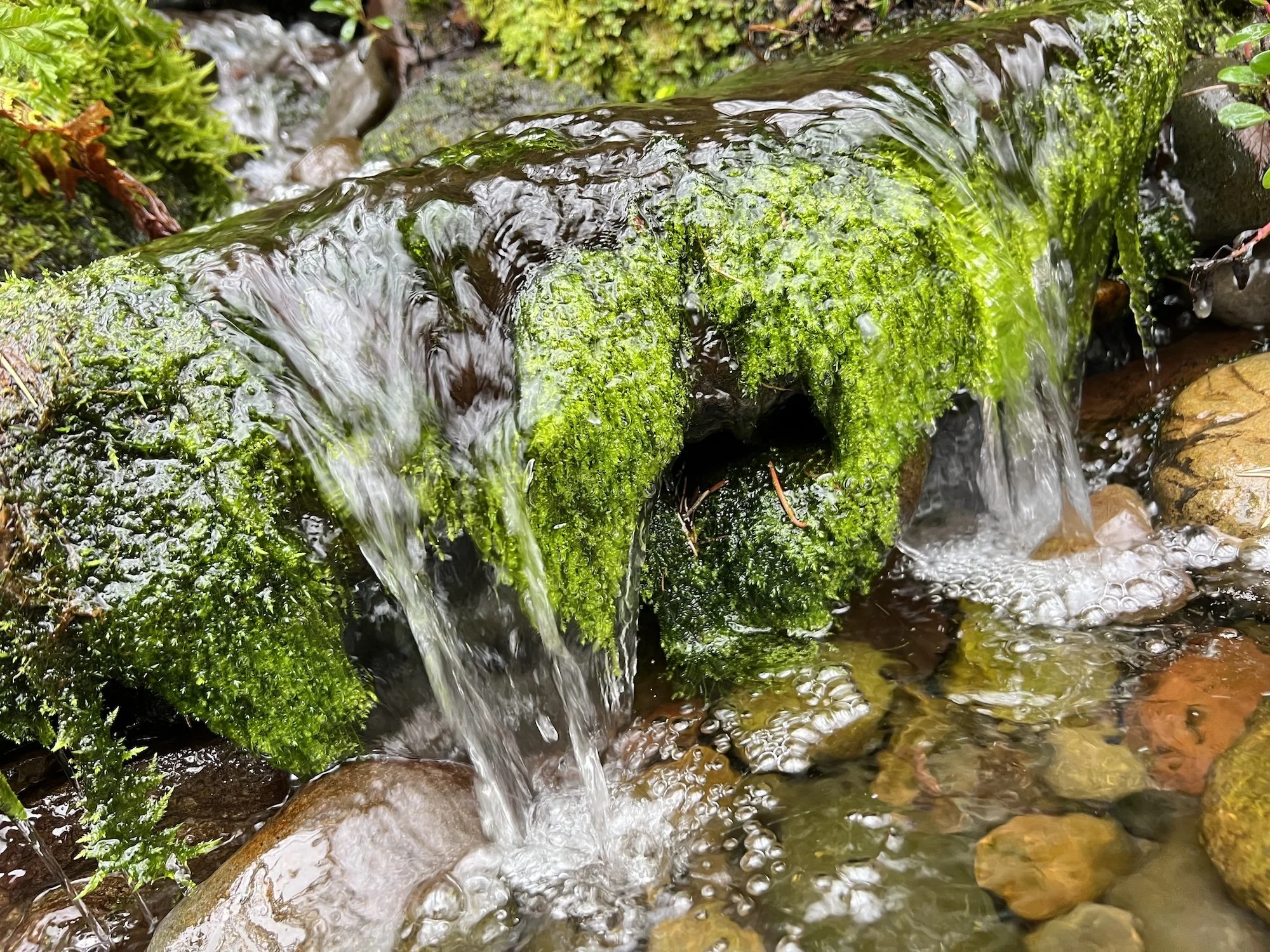 Water flowing over moss-covered rocks