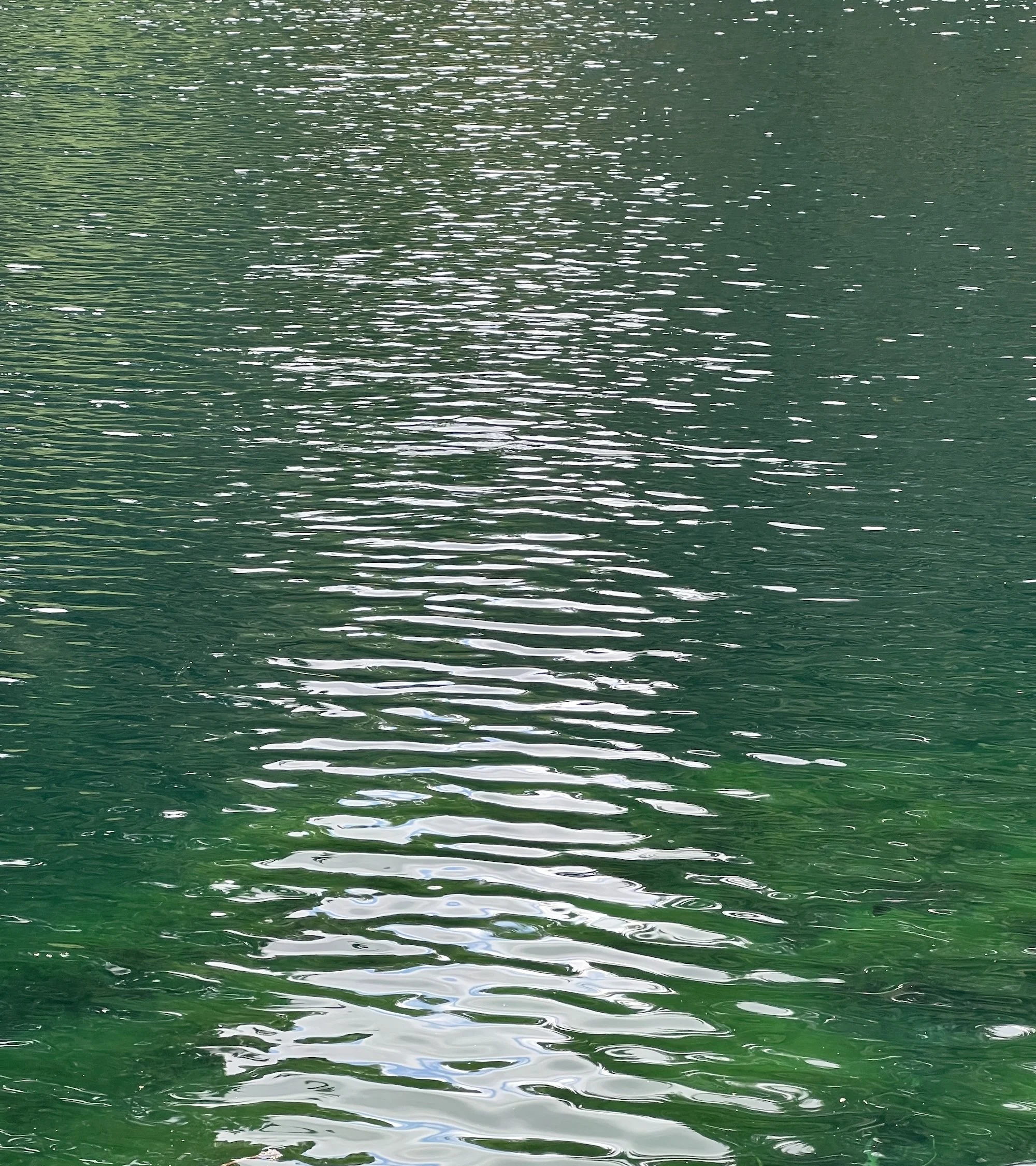 Soft green water ripples