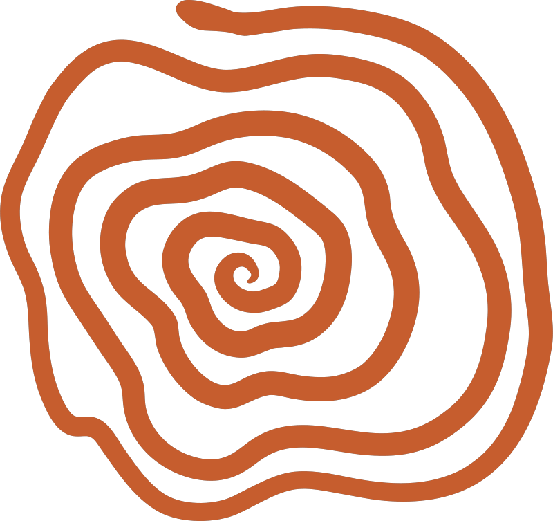 Illustration of a cinnamon roll with a spiral pattern on a black background.