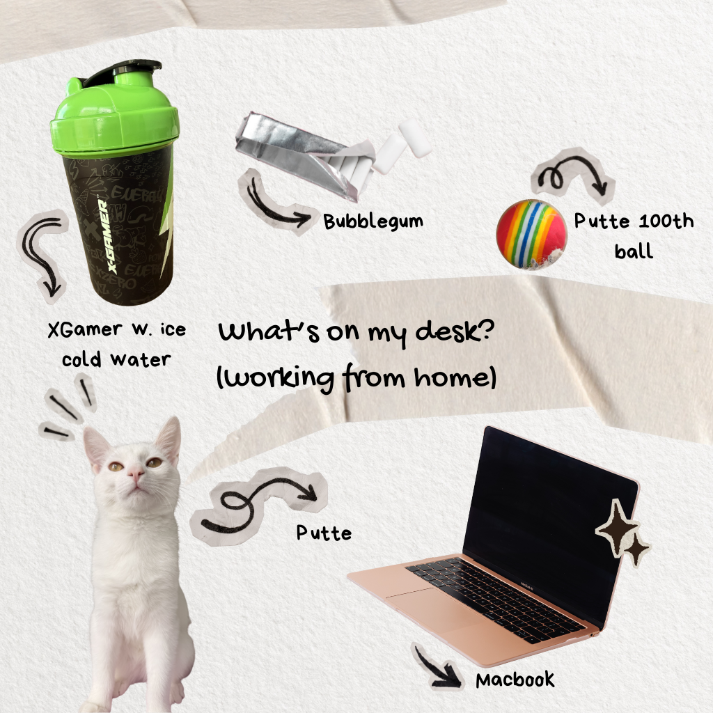CANVA Trend (2026)