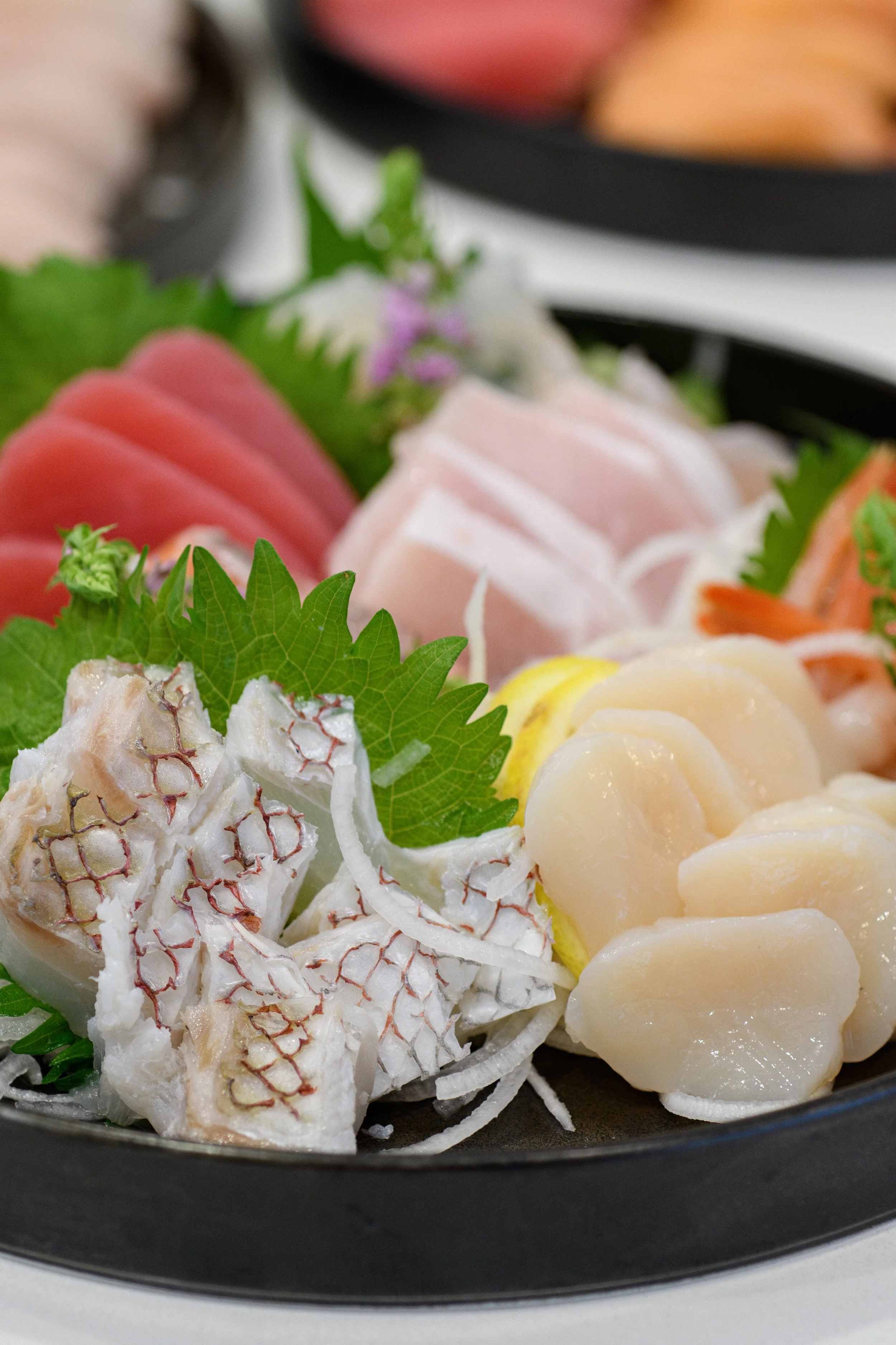 Sashimi