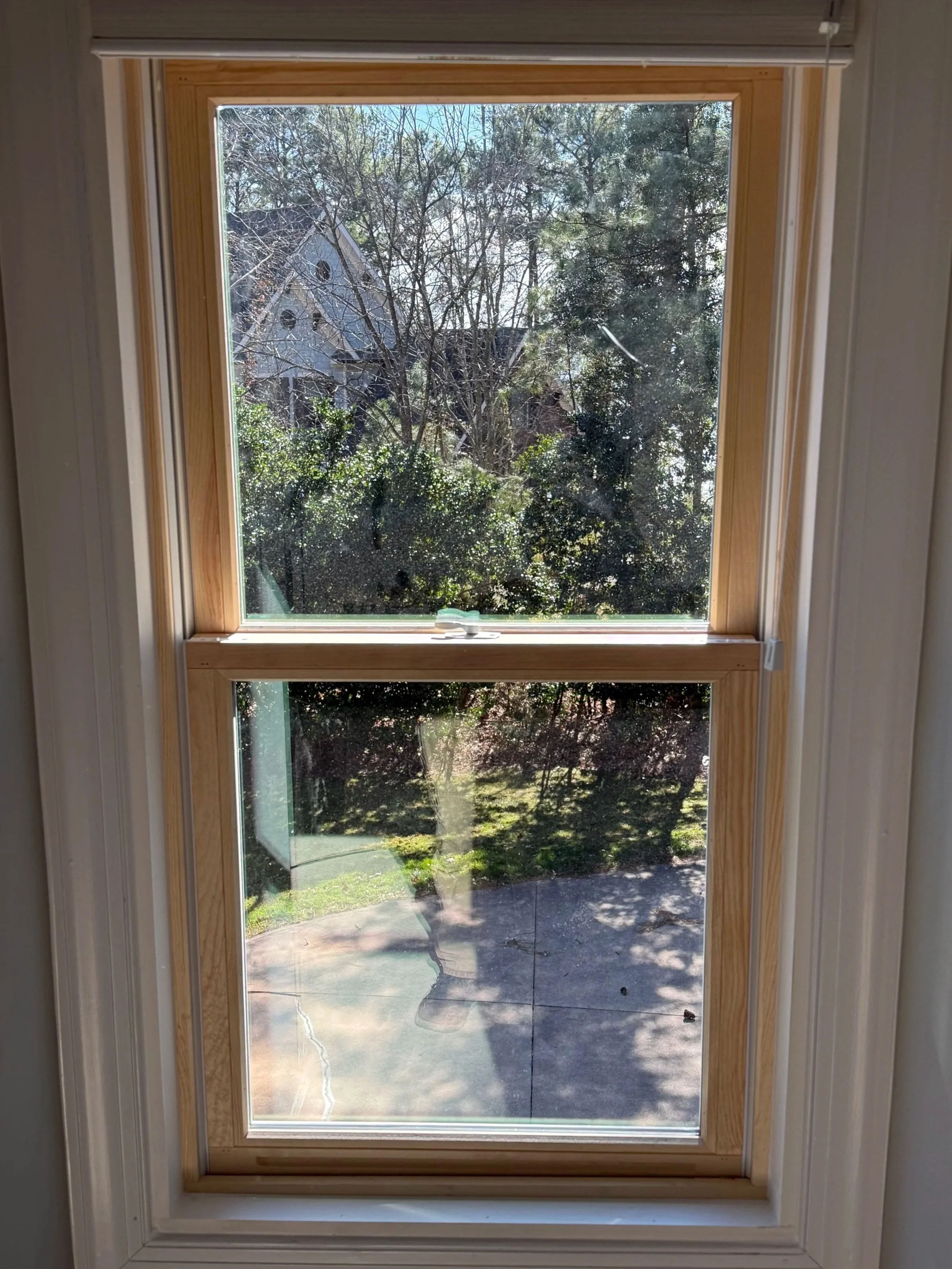 Looking out a window with a wooden frame, showing trees, bushes, and a house in the distance outside on a sunny day.