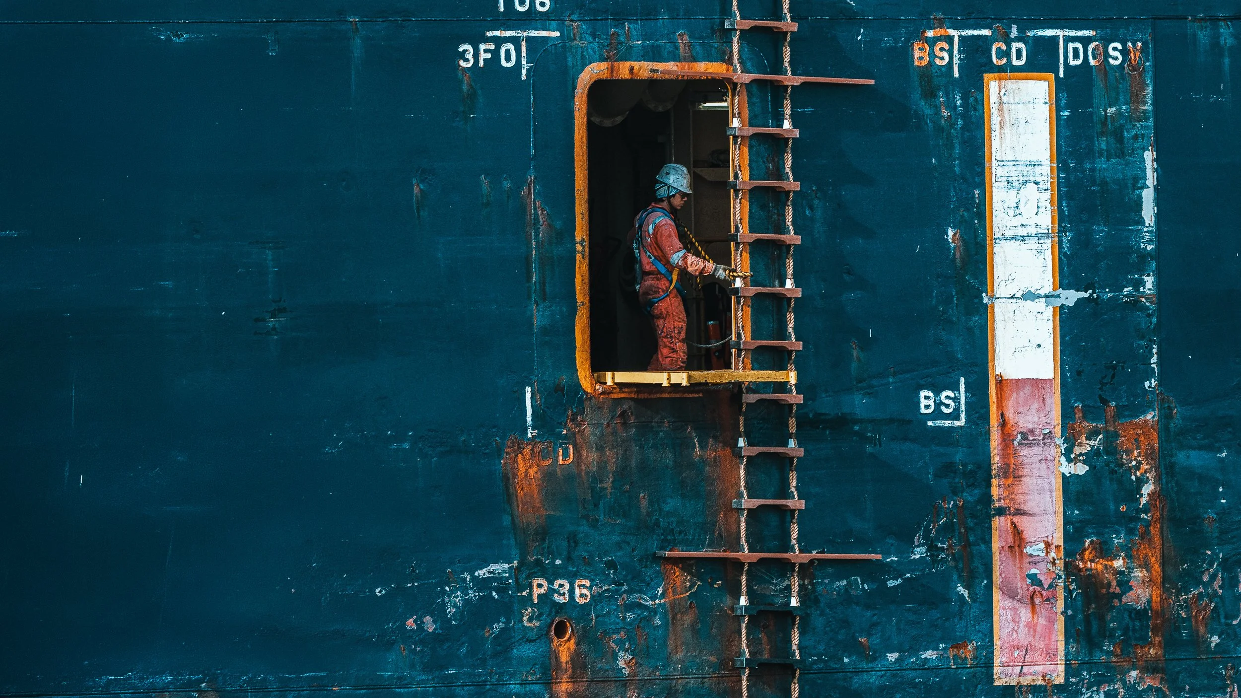 Worker climbing a pilot ladder on a ship hull