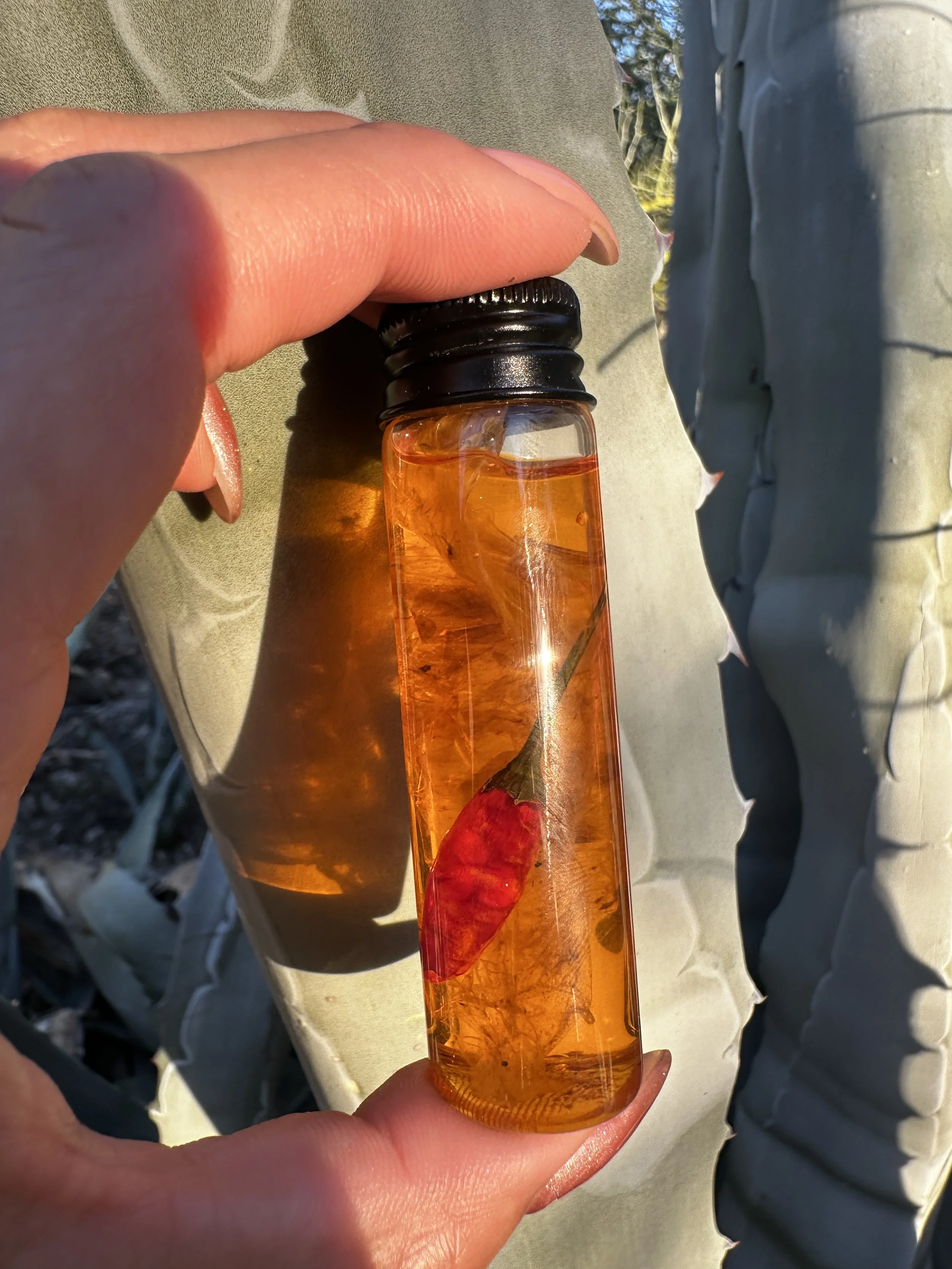 Snake Oil